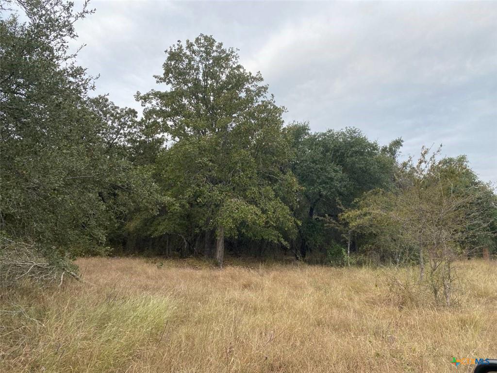 Mature trees frame a peaceful clearing on this ex