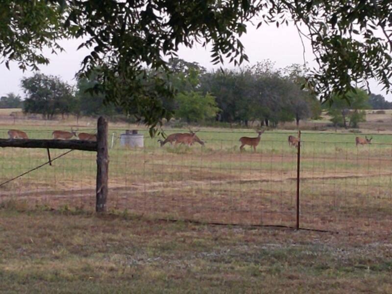 Listing photo 1 of 10905 fm 1915  fm1915 Hwy