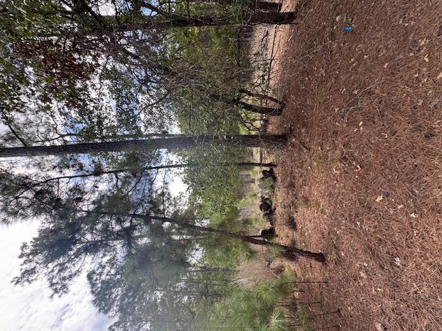Listing photo 1 of TBD  Otto Lane & Red Fox Rd