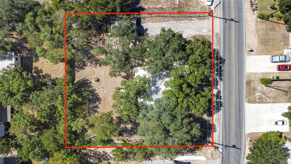 Mature trees surround the property boundary in th