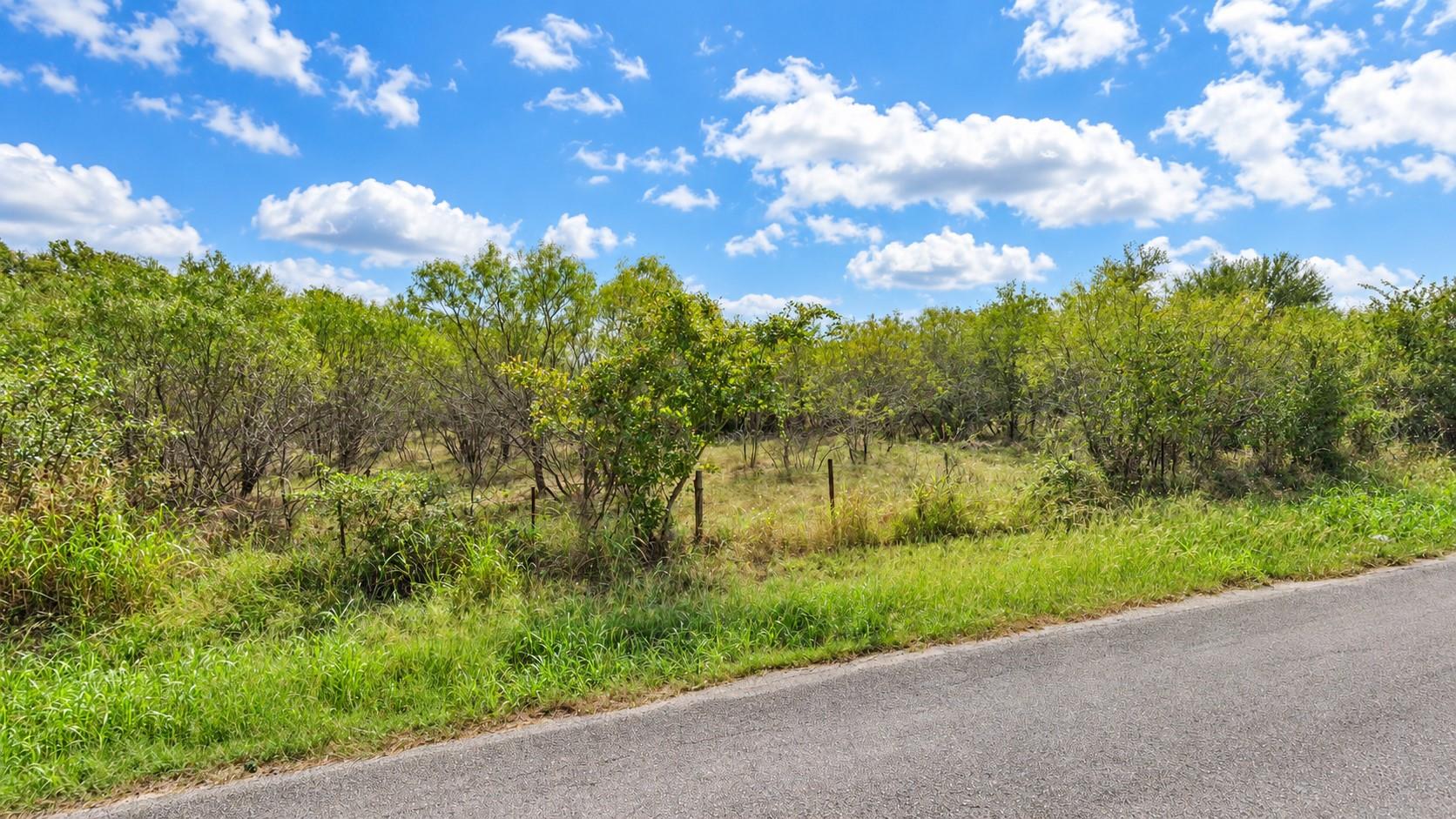Mature trees and native vegetation border a paved