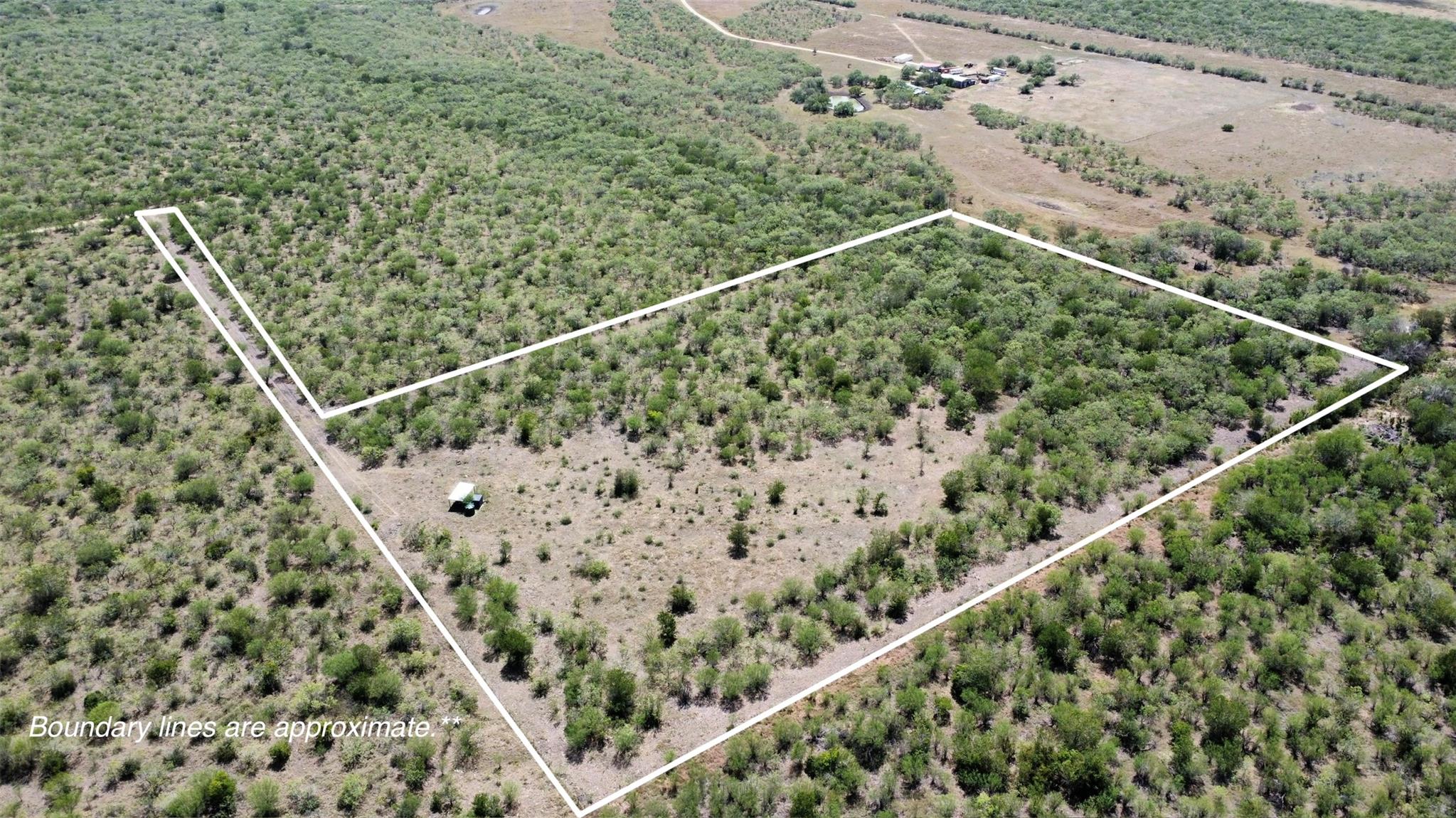 Mature trees and native vegetation cover this exp