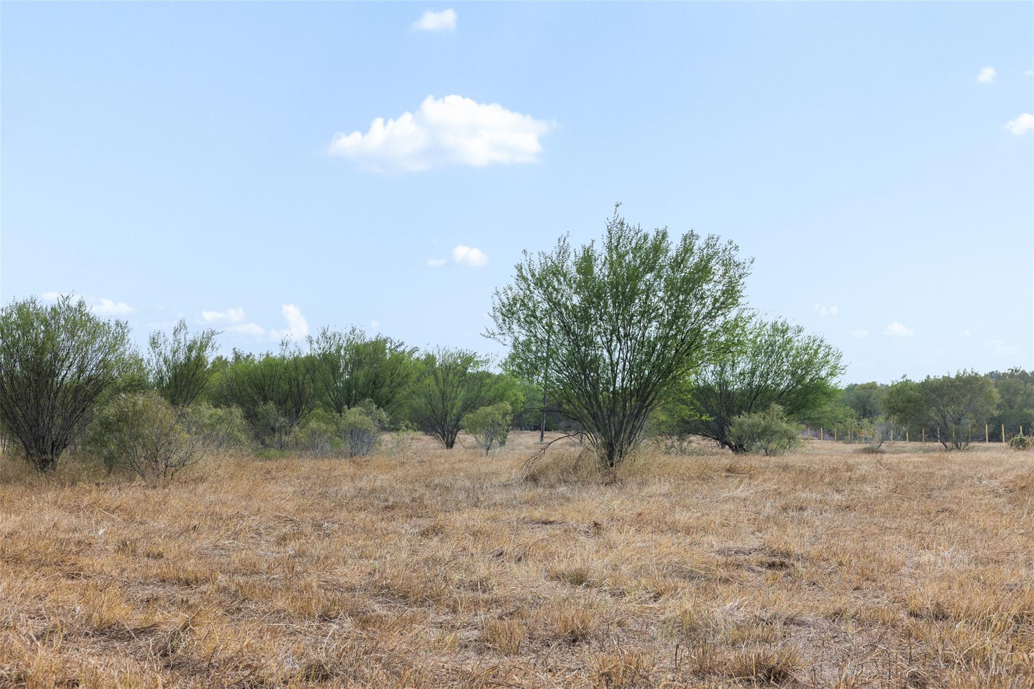 Mature trees dot this sprawling acreage under a c