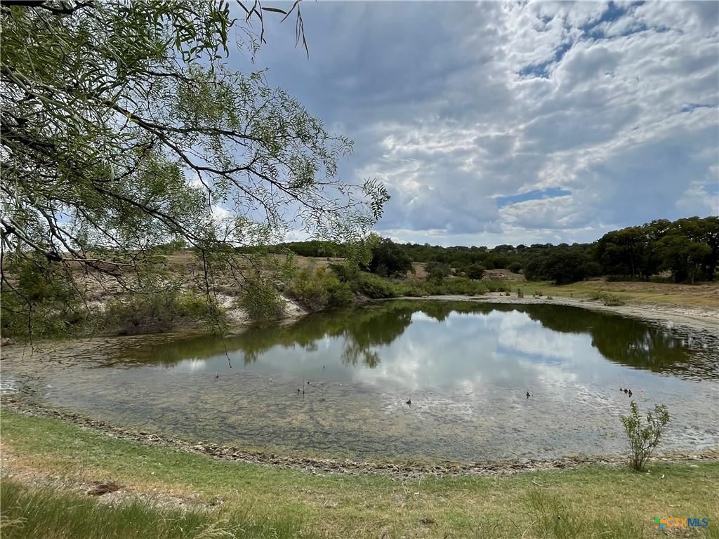 A tranquil natural pond reflects the dramatic clo