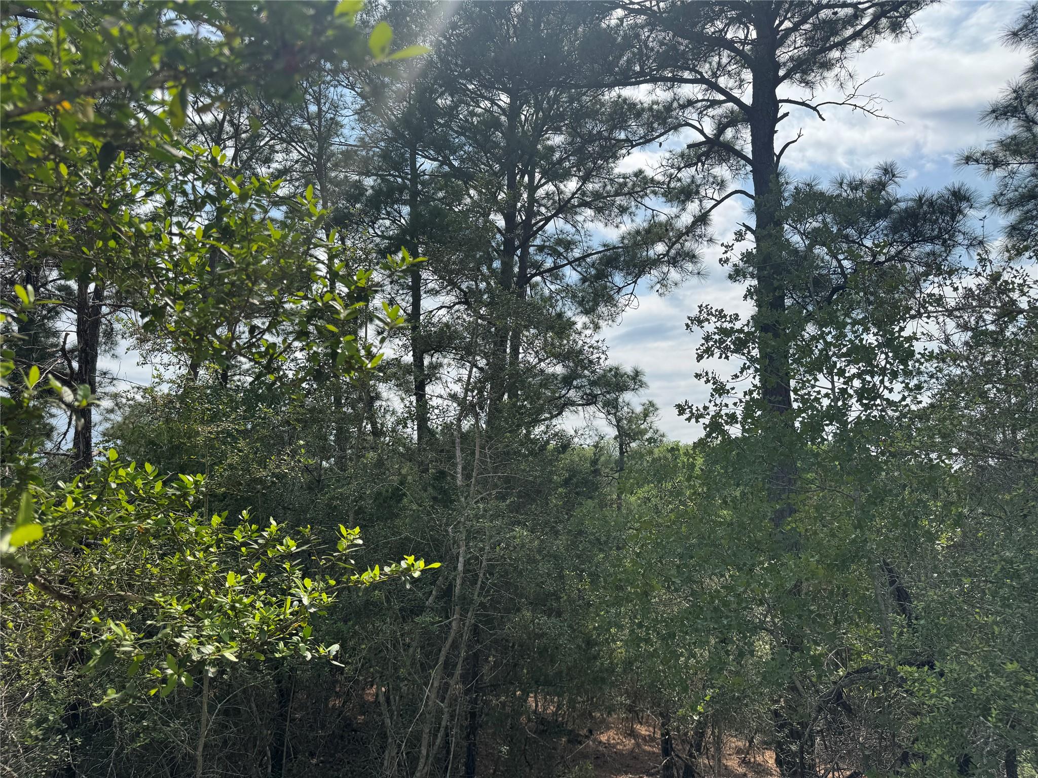 View of landscape with a wooded view