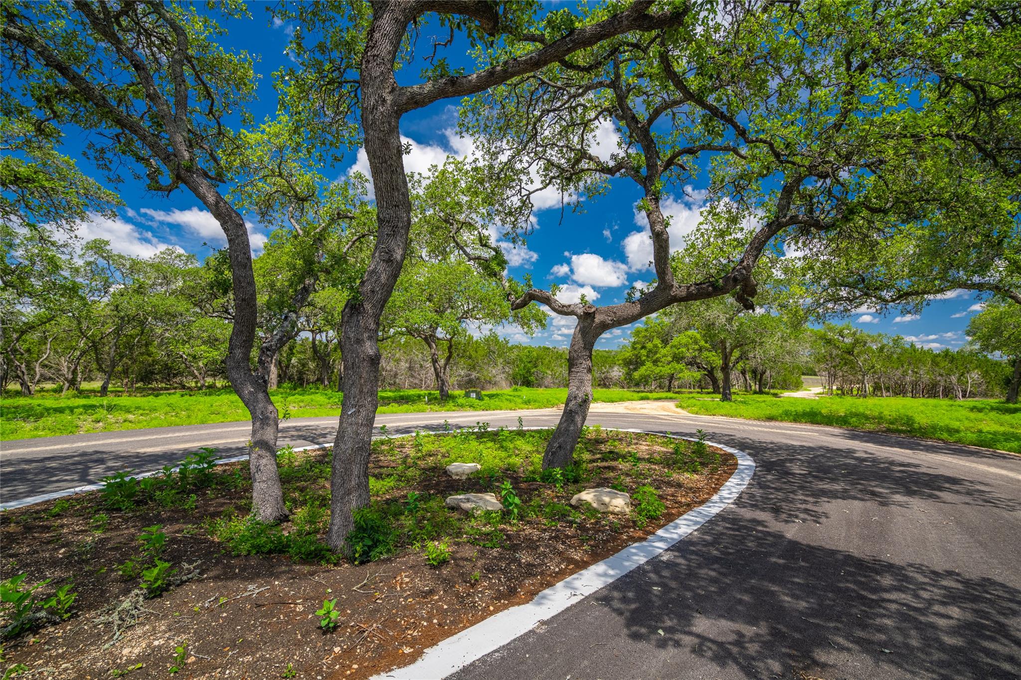 Listing photo 1 of Lot 8  FM 32 None
