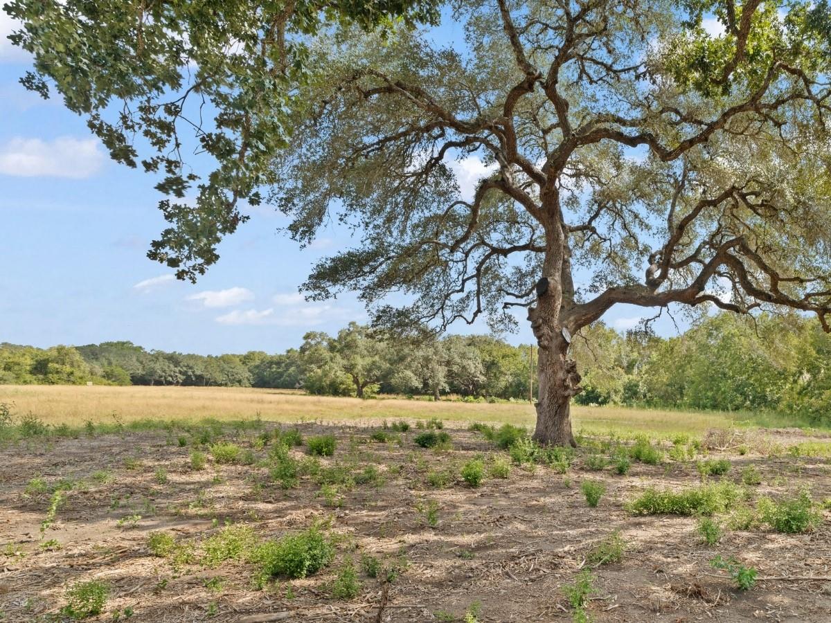 Listing photo 1 of 2763  FM 956 None