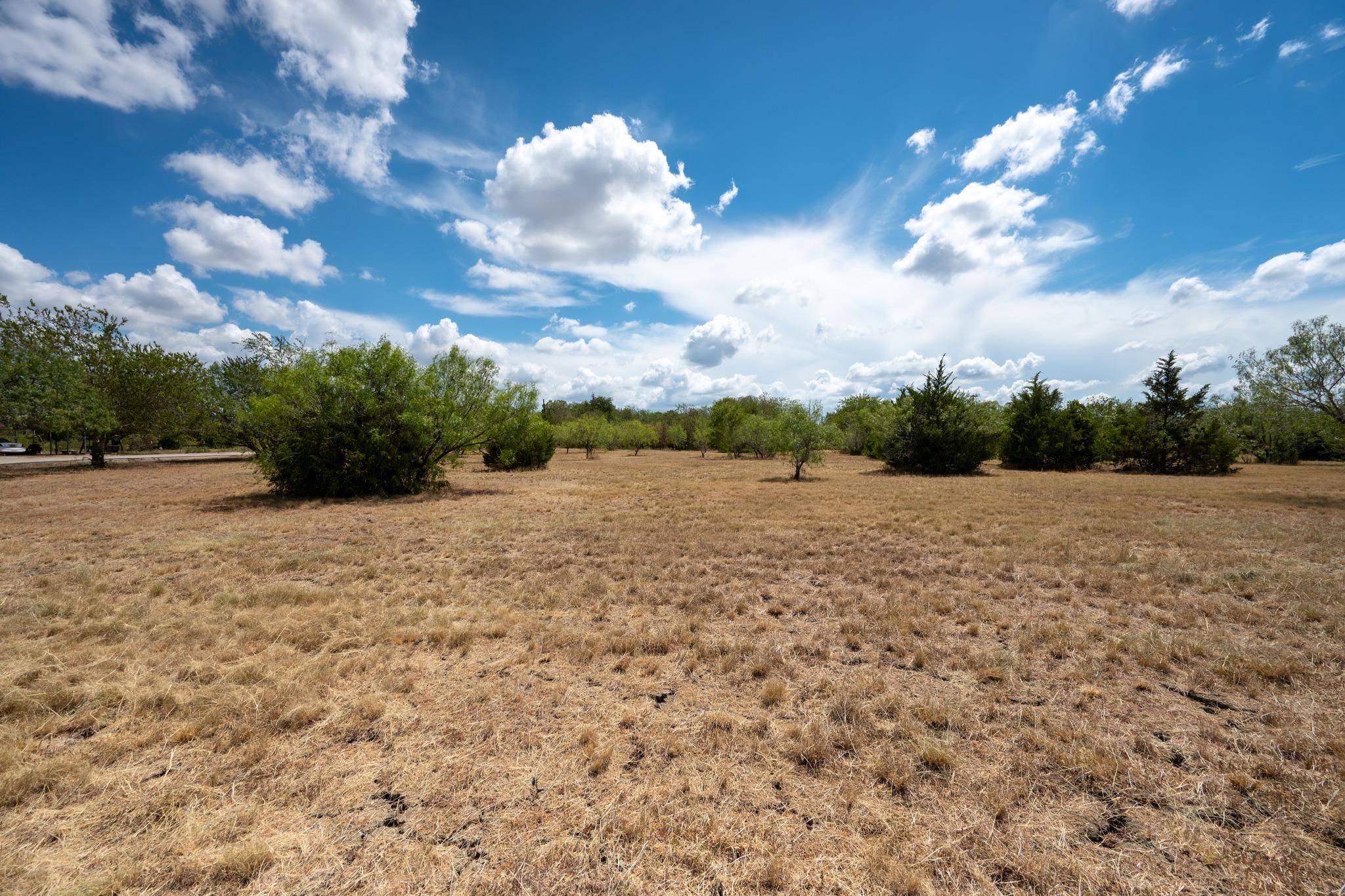 Mature trees dot the open landscape under a wide,
