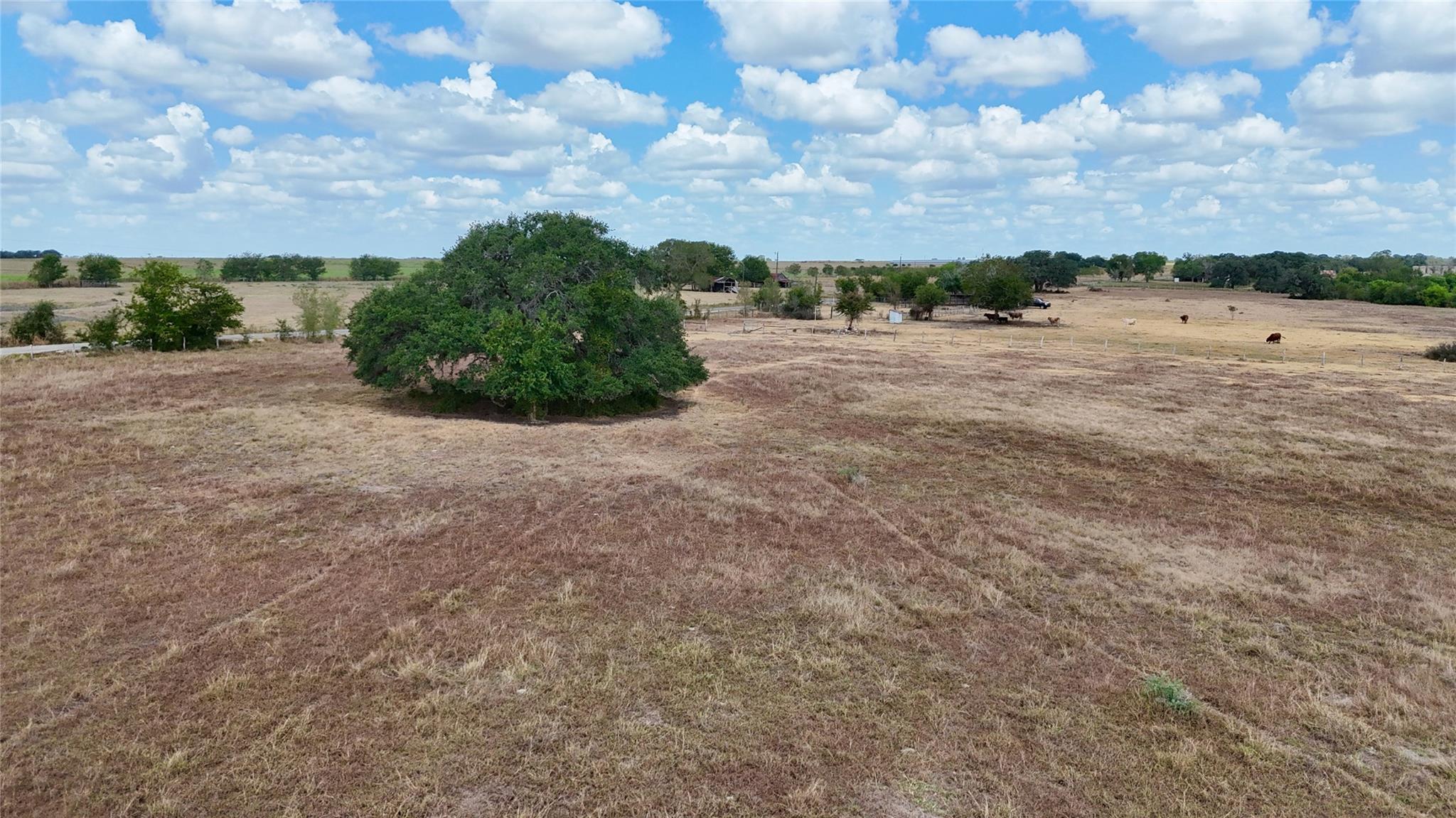 Listing photo 1 of Tract 2  County Road 366 None