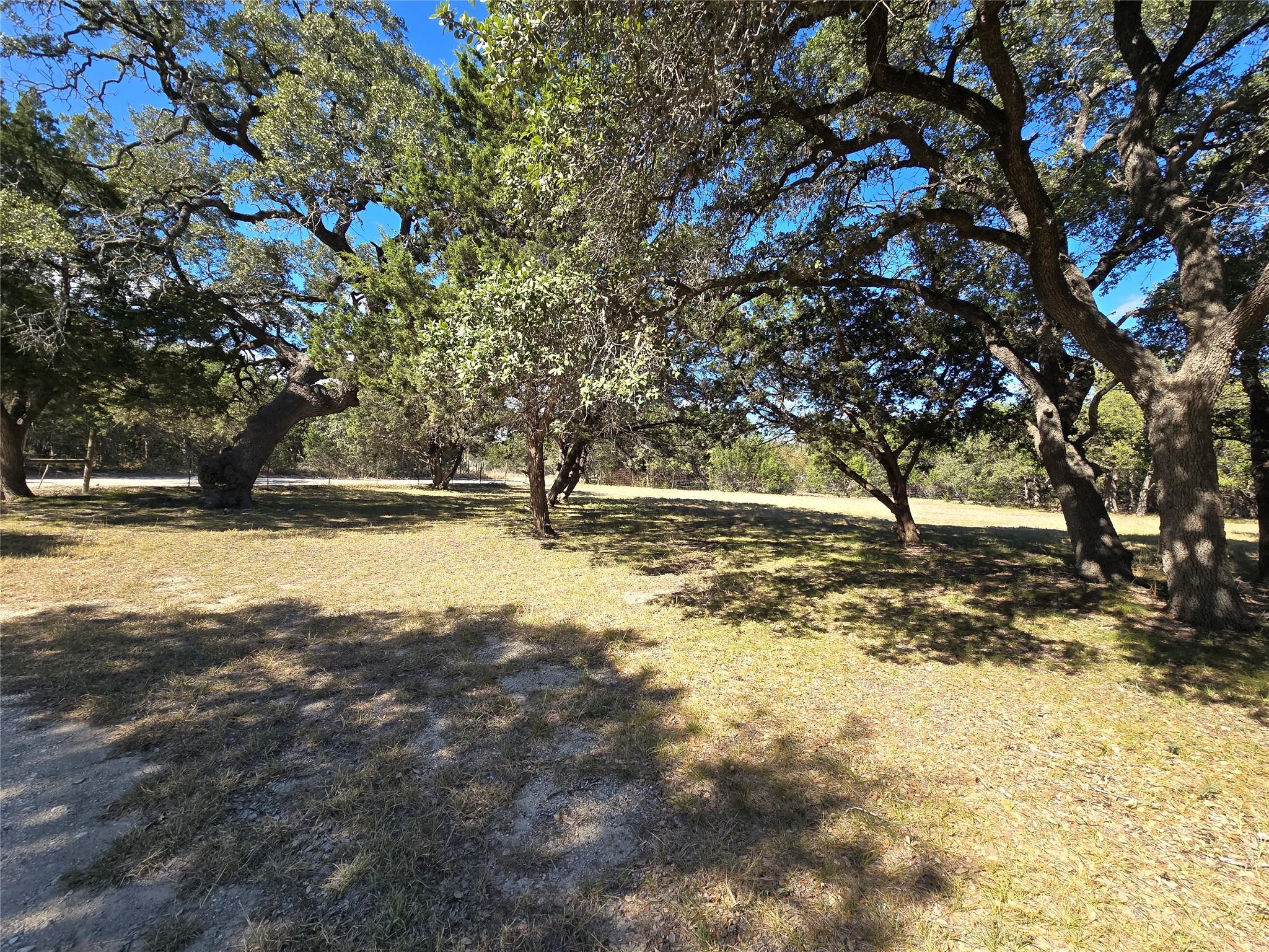 Listing photo 1 of 351  Live Oak Trl