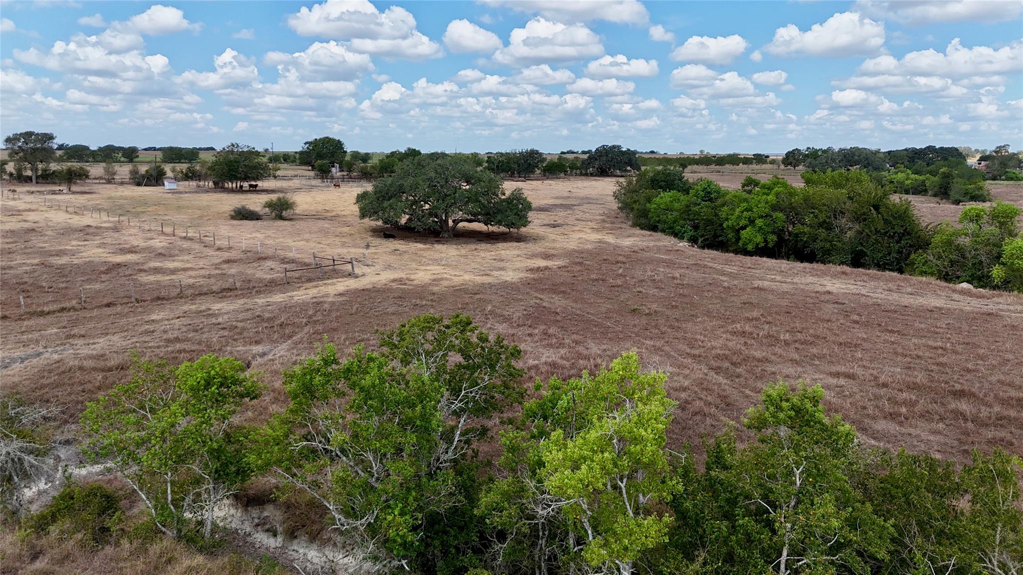 Listing photo 1 of Tract 3  County Road 366 None