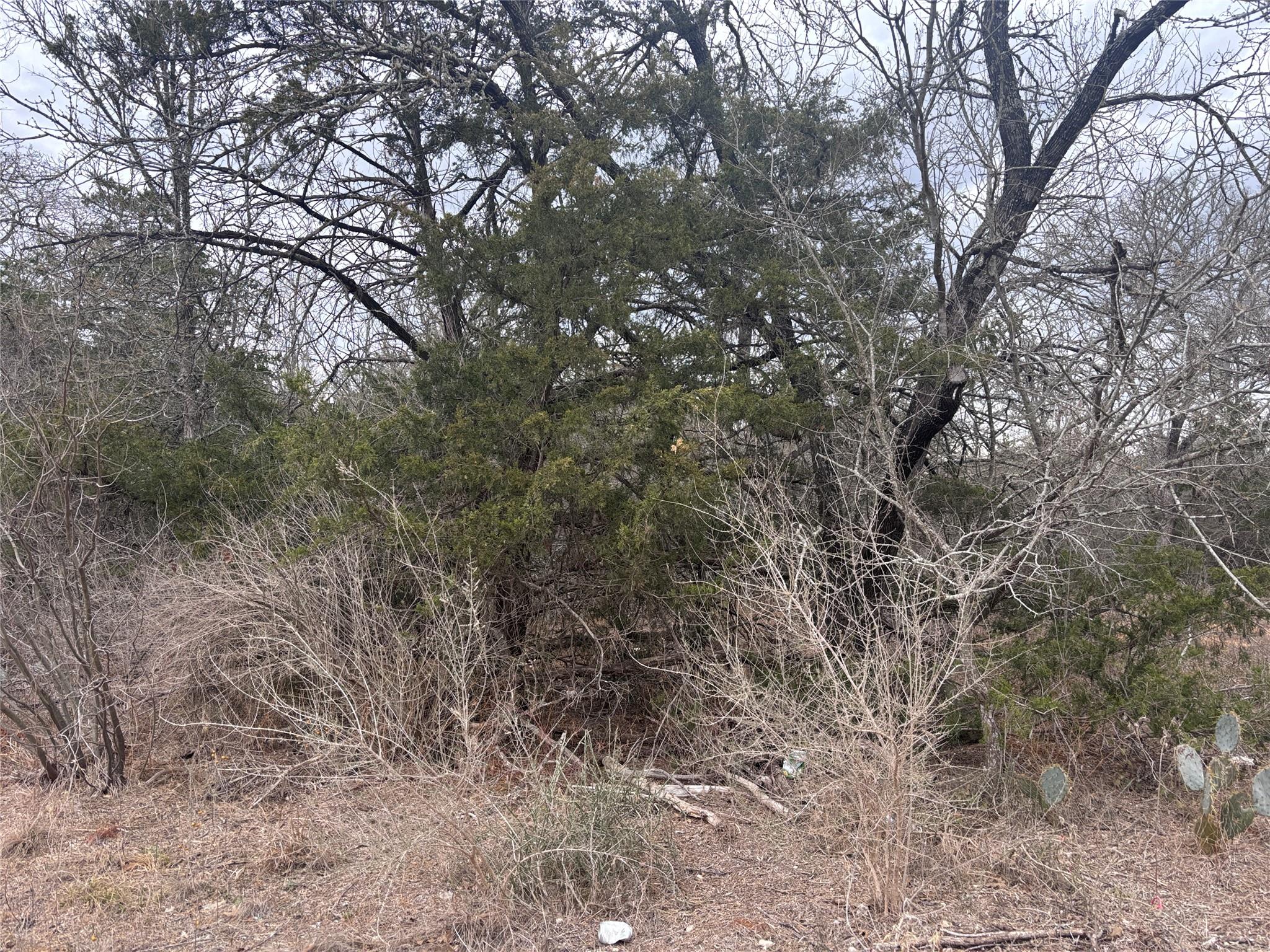 Listing photo 1 of TBD  Pearson Rd