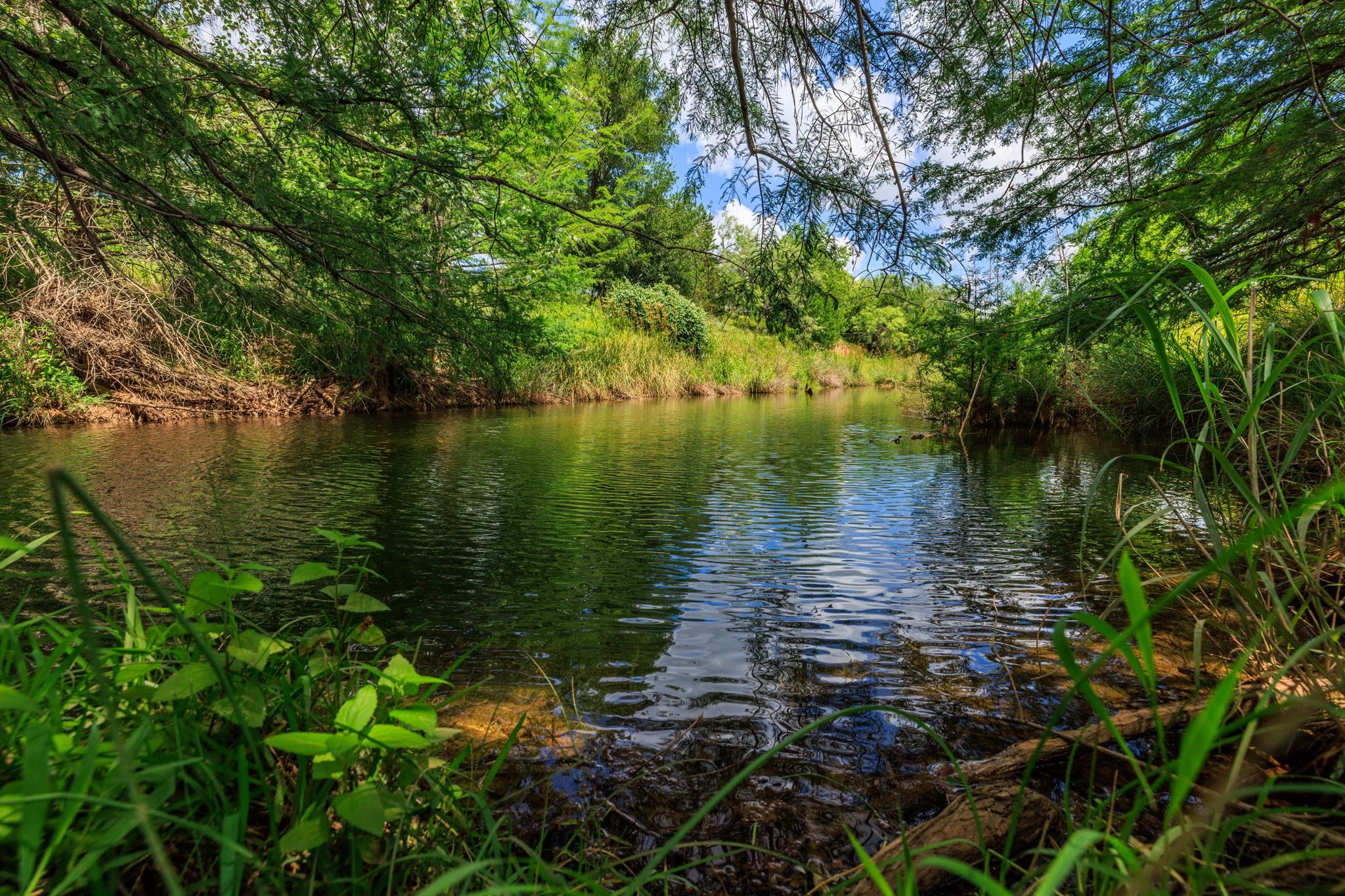 Discover a tranquil stream meandering through a l
