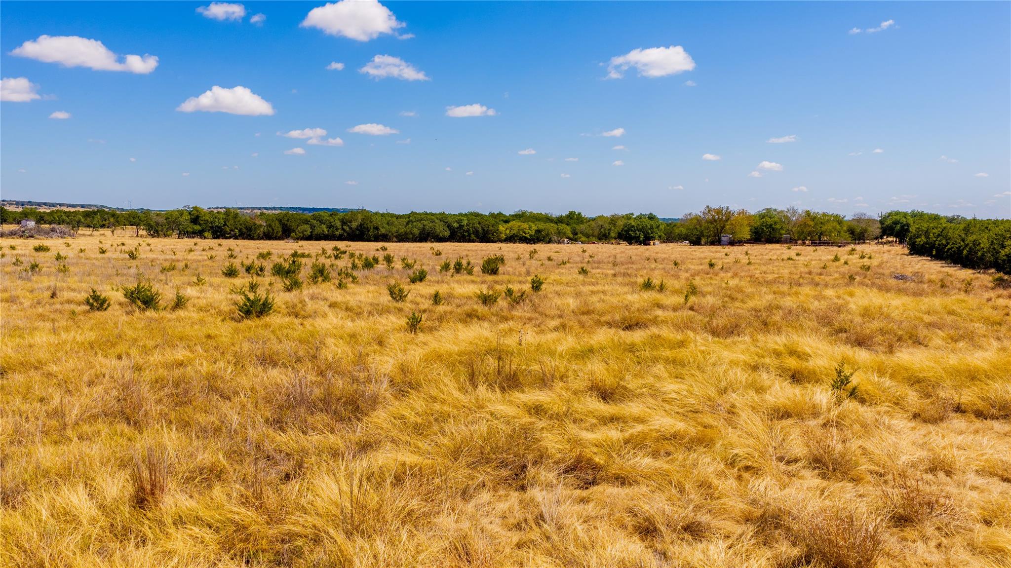Vast open pastureland stretches toward a distant 