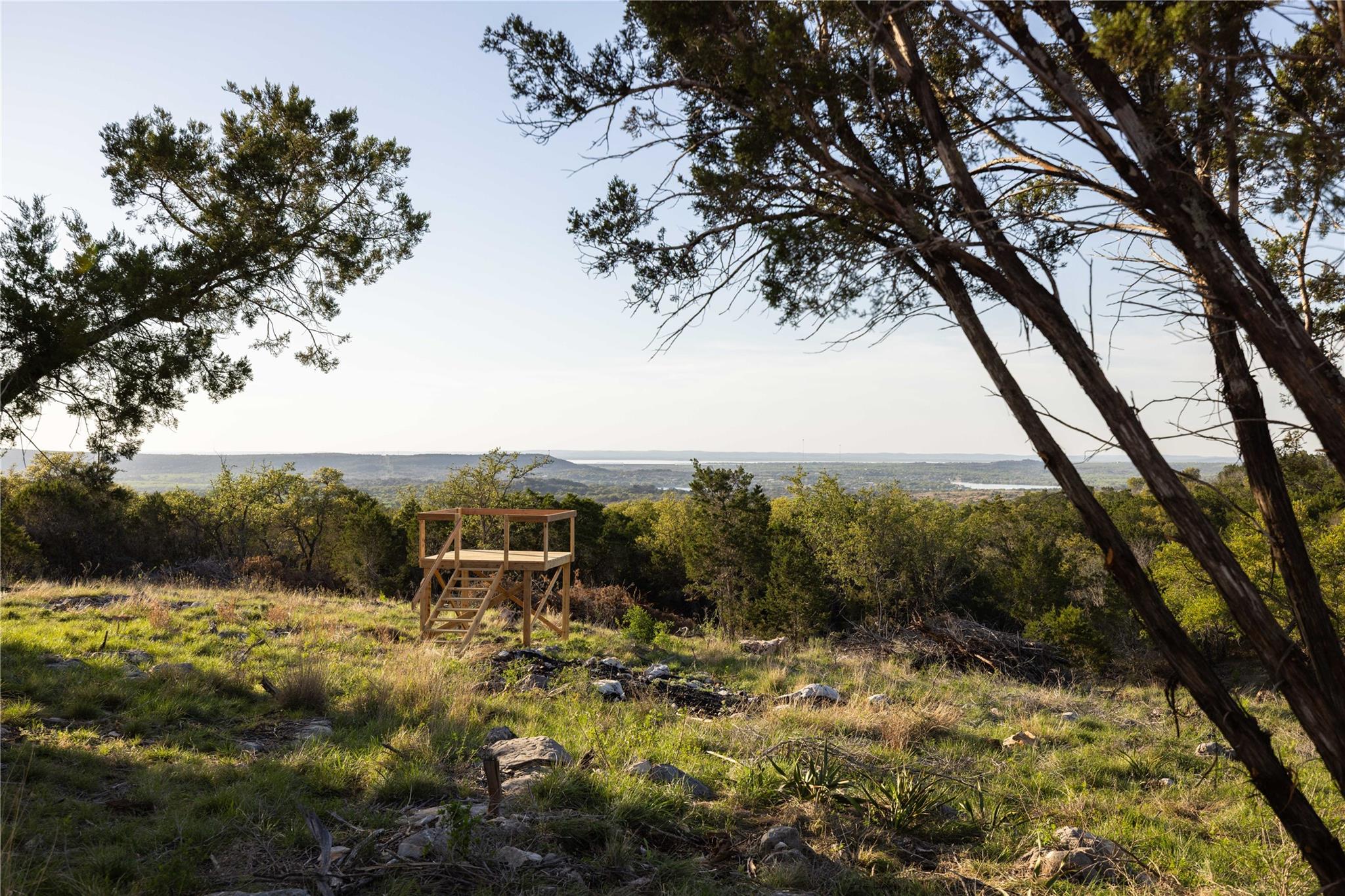 Mature trees frame a raised wooden viewing platfo