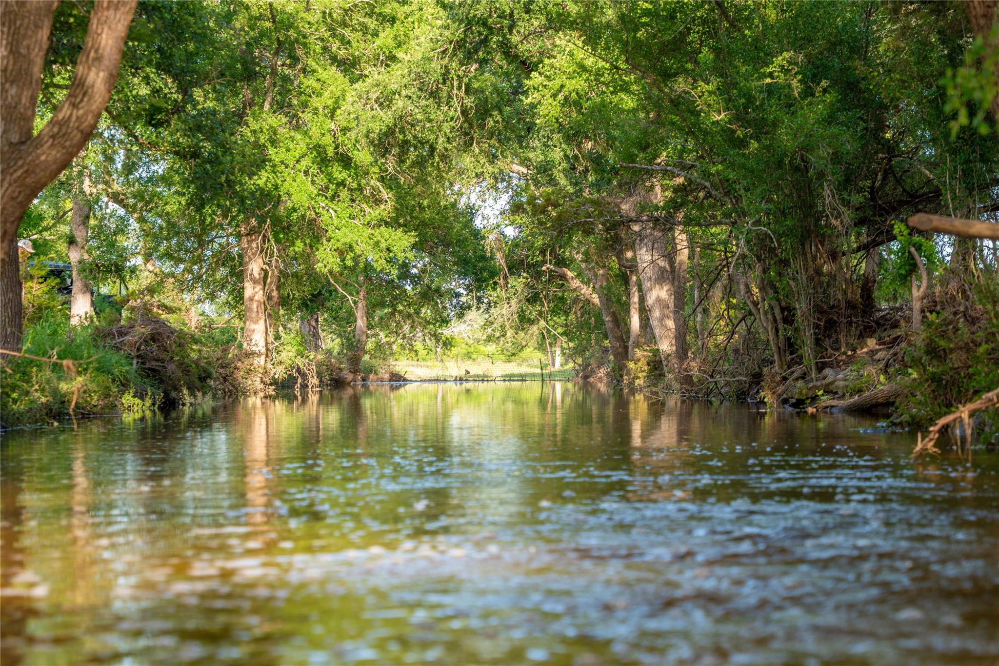 Mature trees line the peaceful flowing waters of 