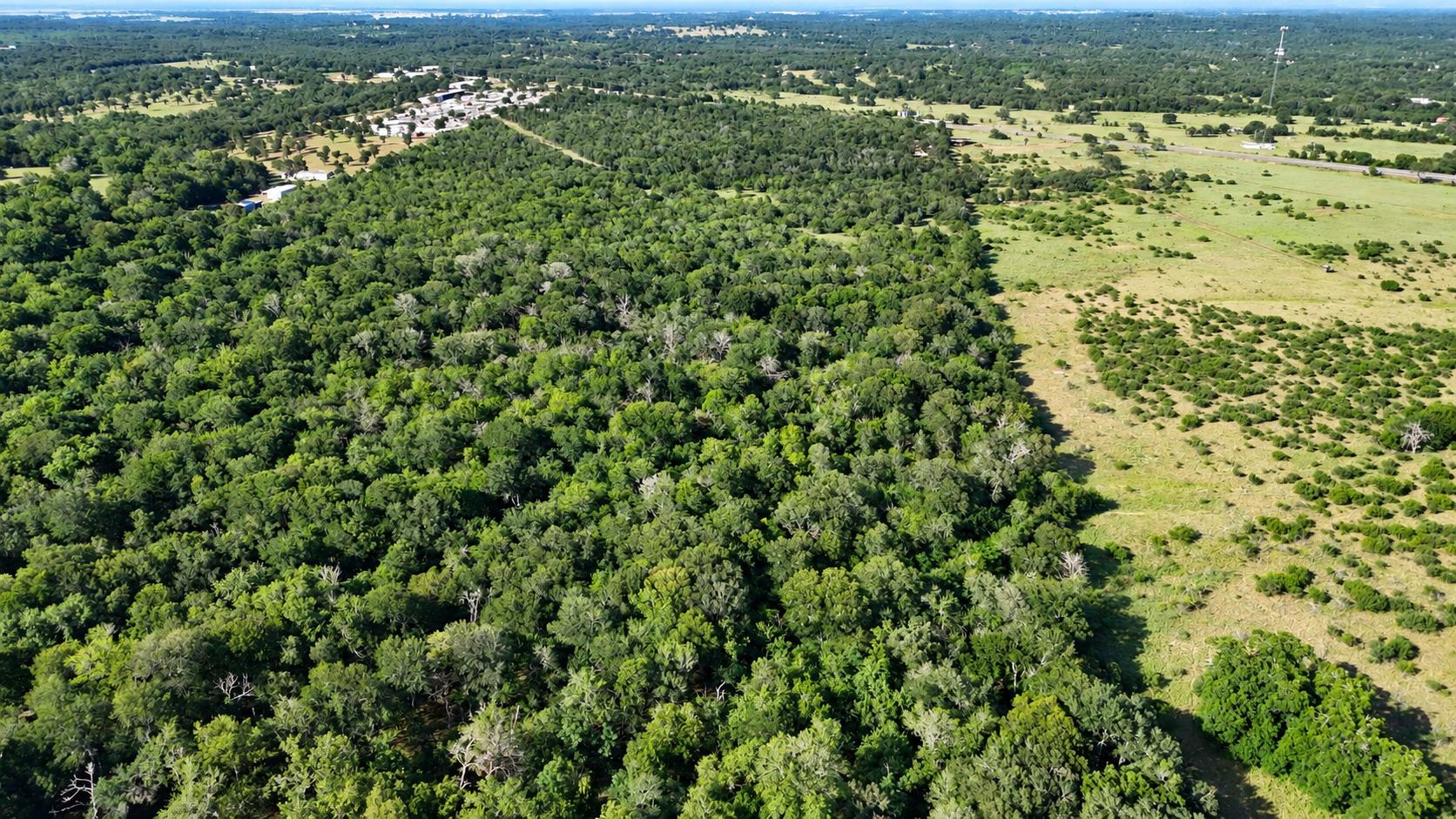 Mature woodlands merge with open pasture across t