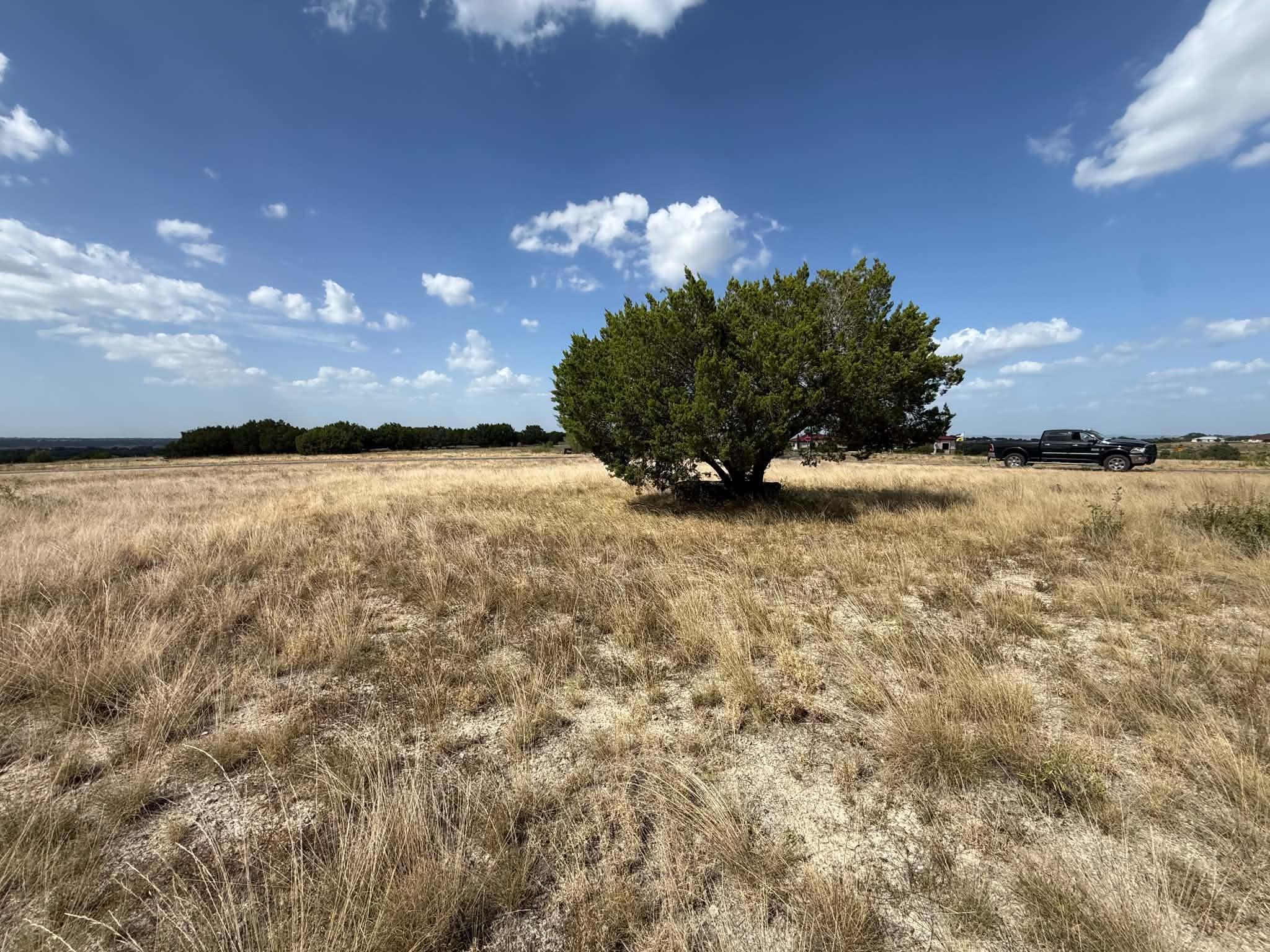 Sunlight sweeps across vast, open acreage punctua