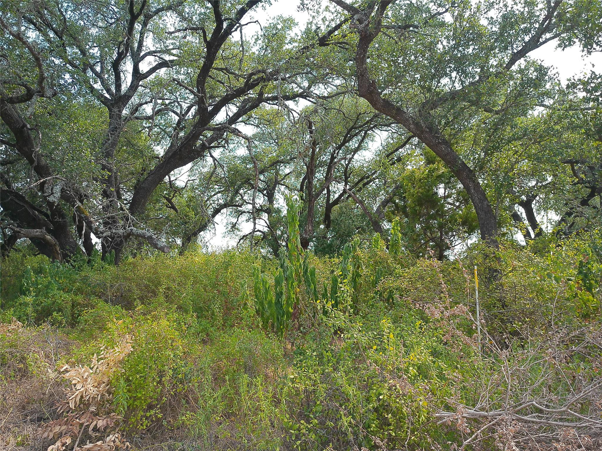 Listing photo 1 of Lot 64  Rycen Dr