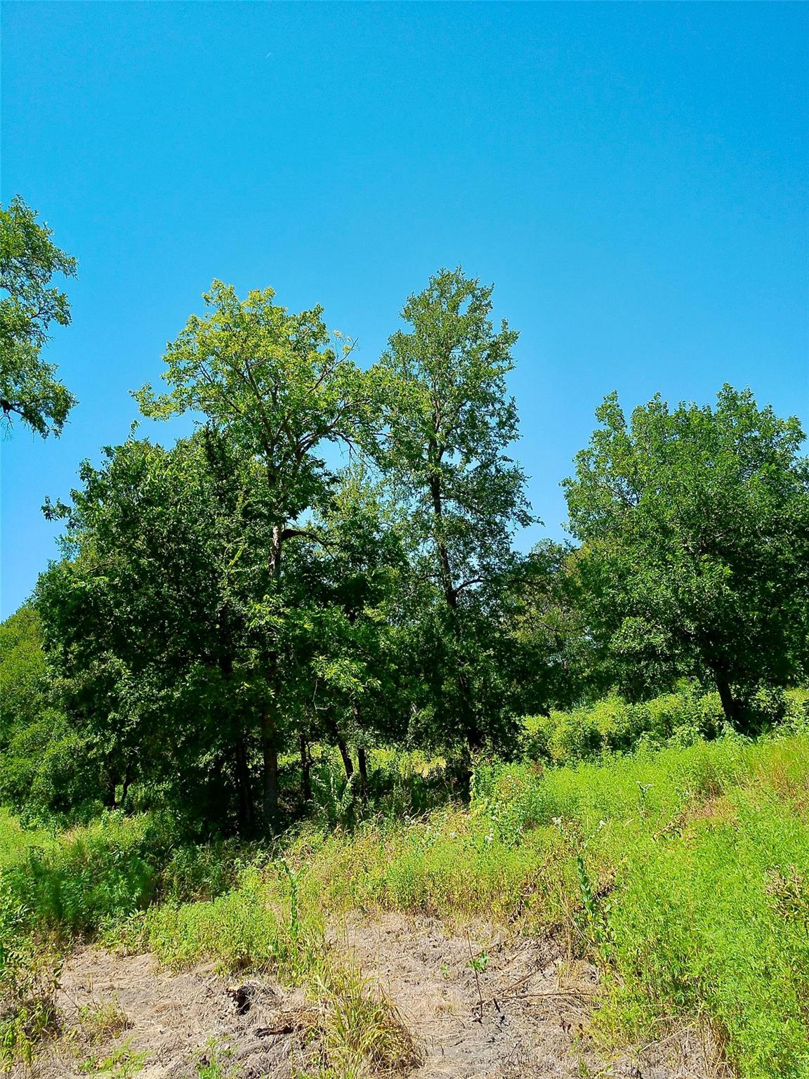 Listing photo 1 of Lot 22  Serenity Dr