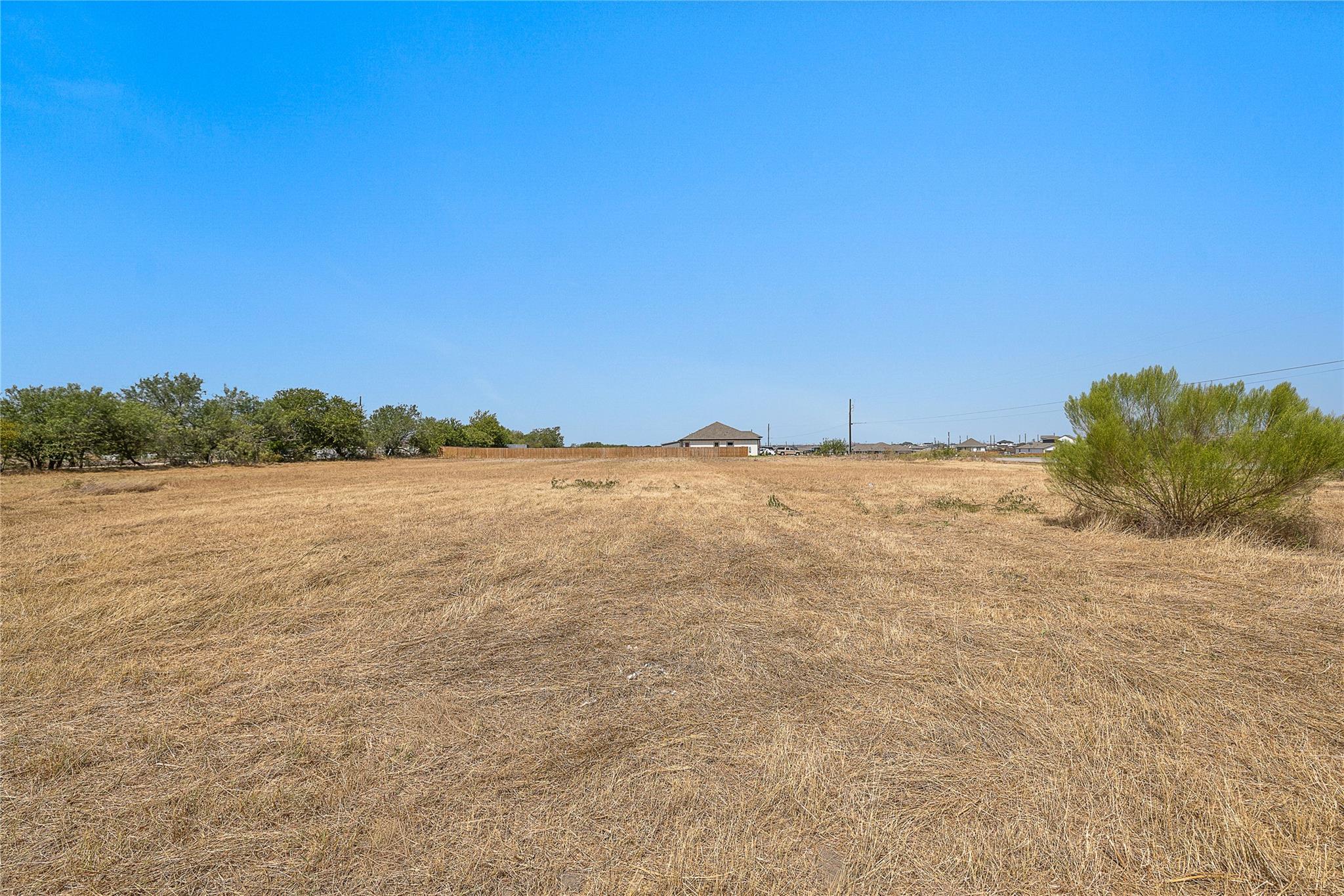 An open grassy field stretches toward the horizon