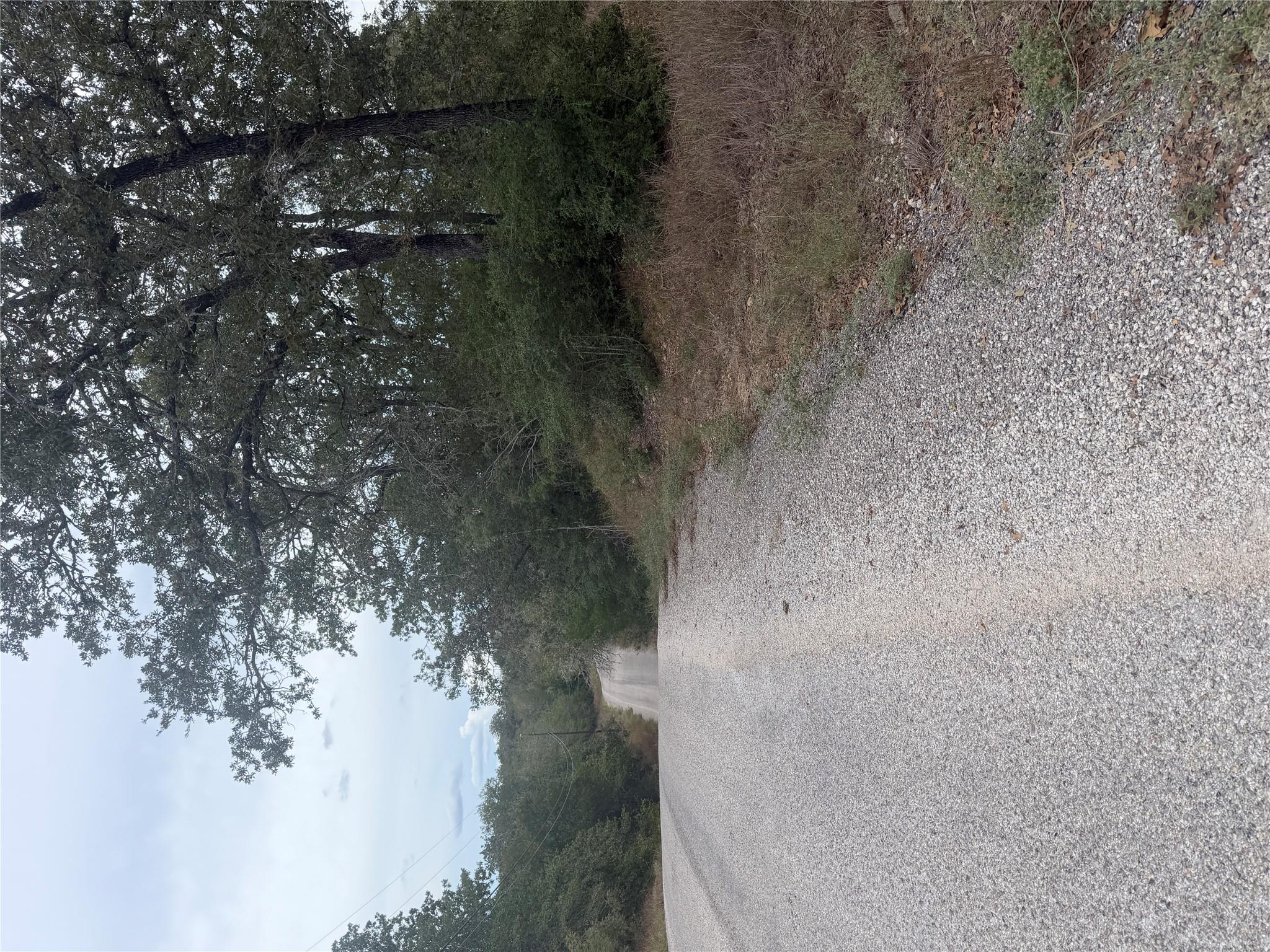 Mature trees frame the quiet country road borderi