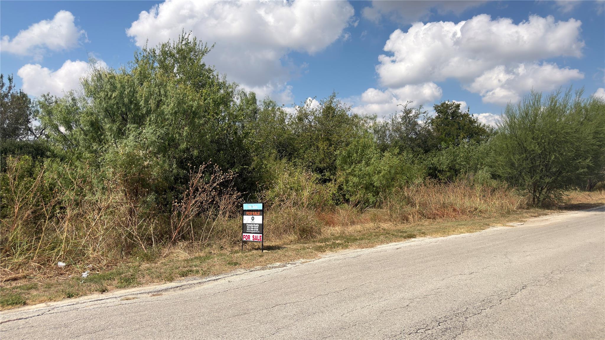 Mature trees and native vegetation border a paved