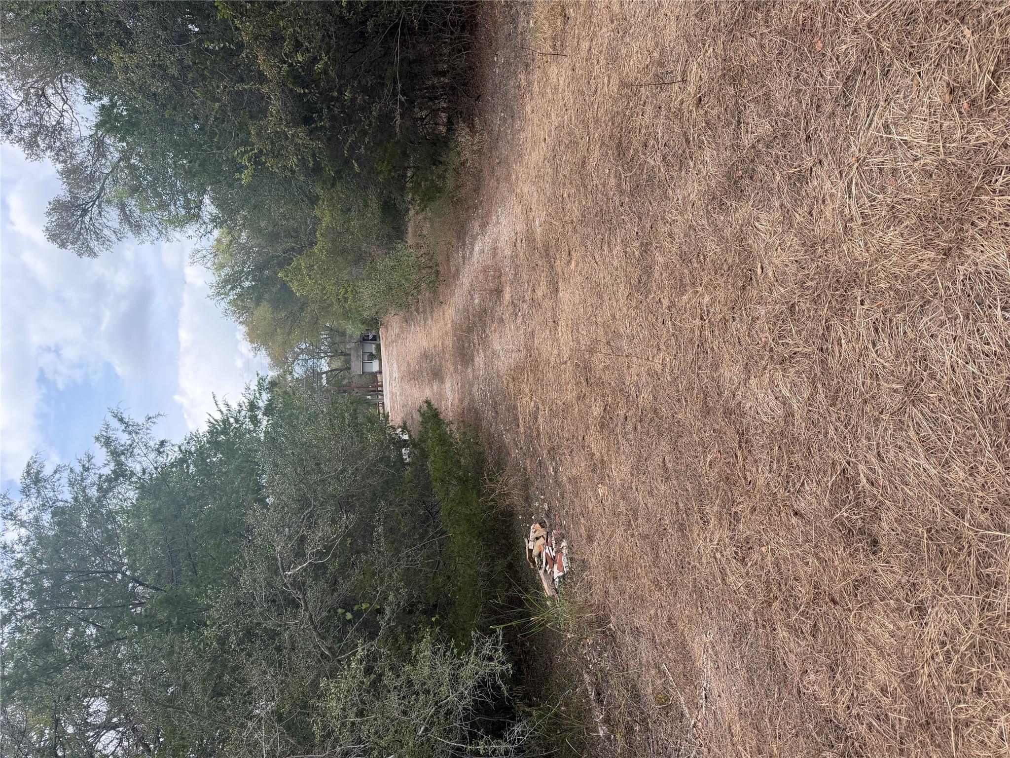 Mature trees frame a long, rustic dirt driveway l