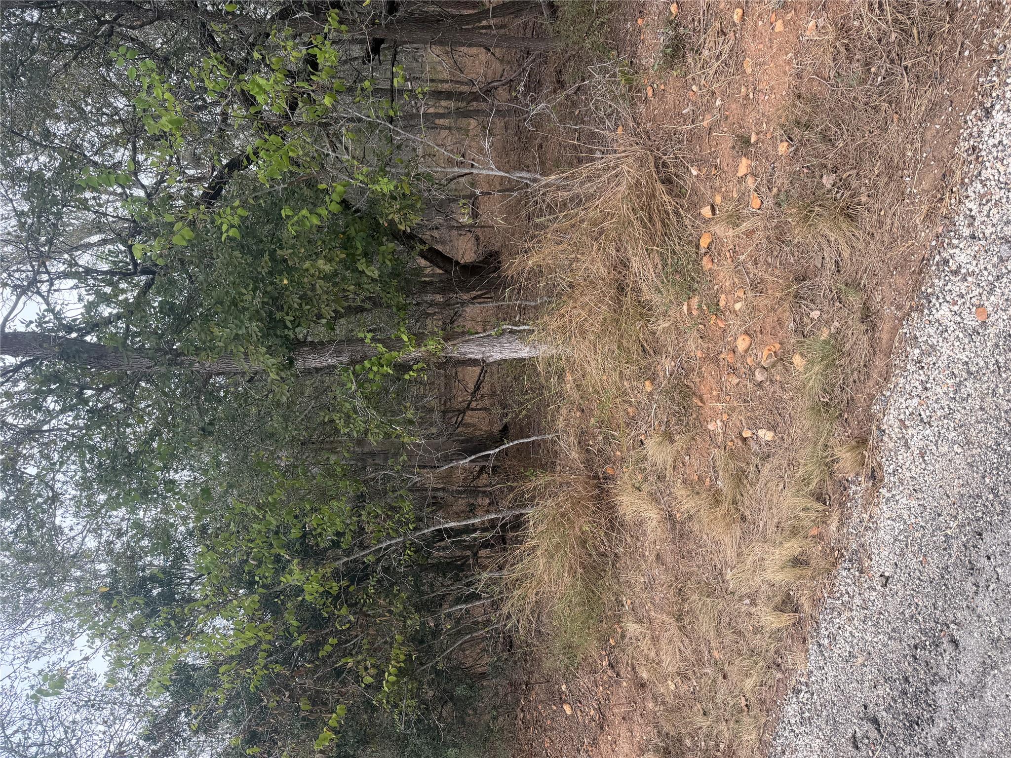 Mature trees and native vegetation define this na