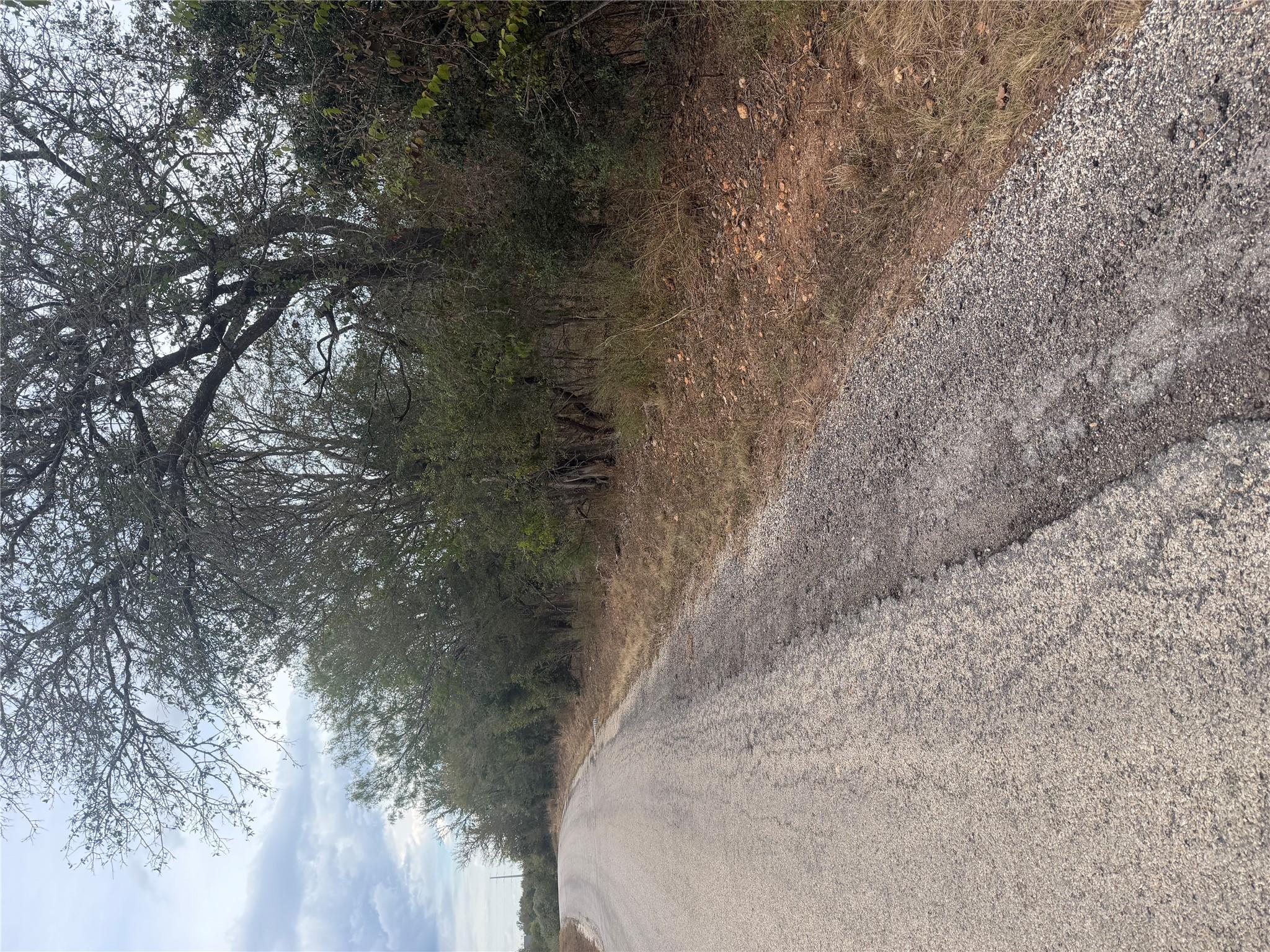 Mature trees line the quiet paved road bordering 