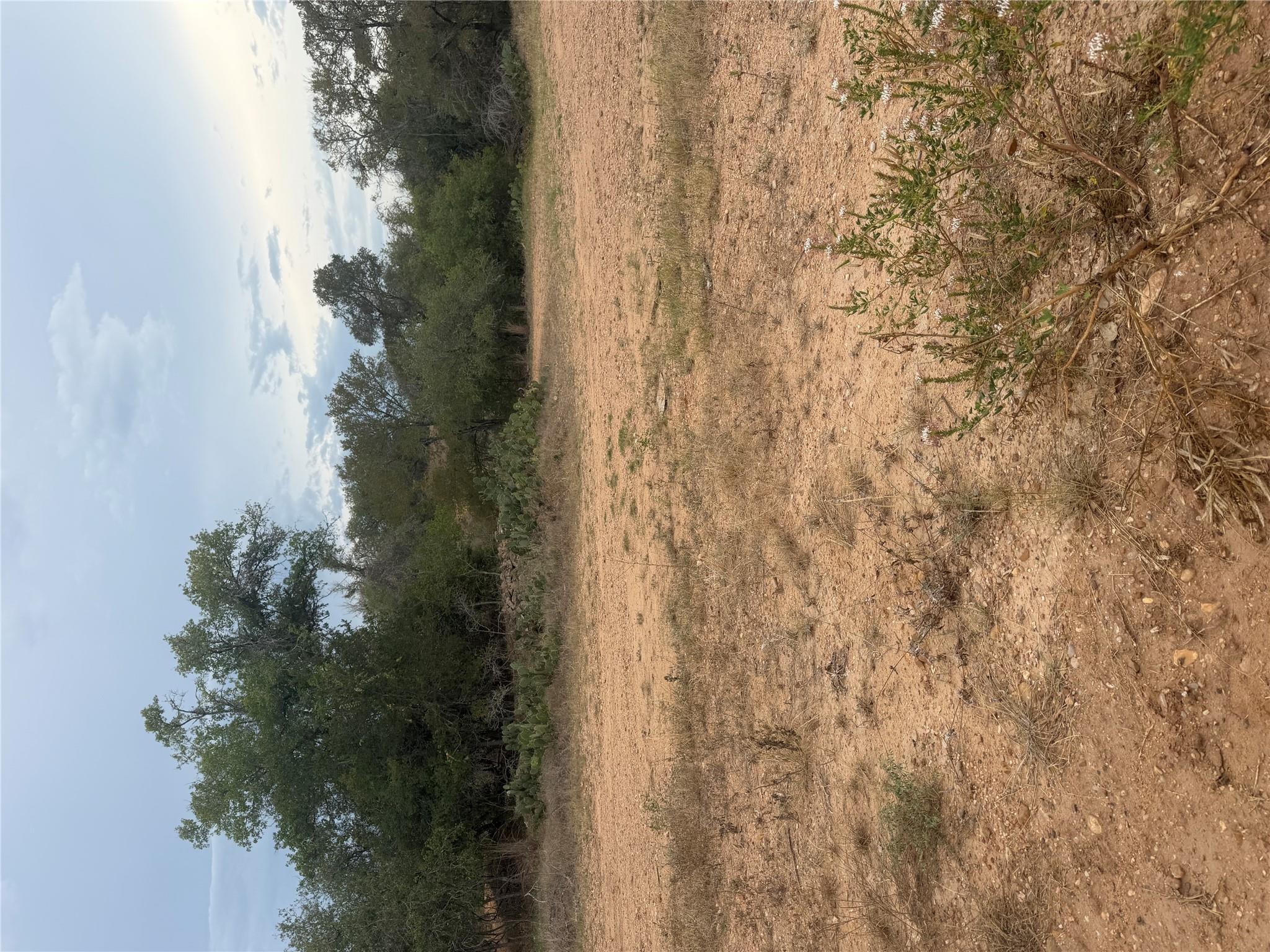 Mature trees frame the edge of a cleared building