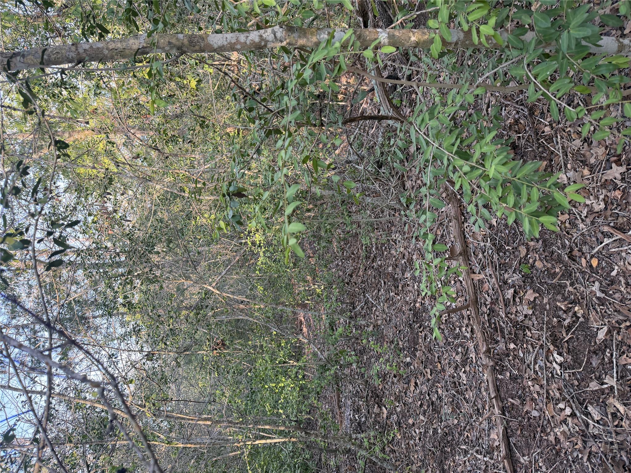 Mature woodlands and dense natural foliage offer 