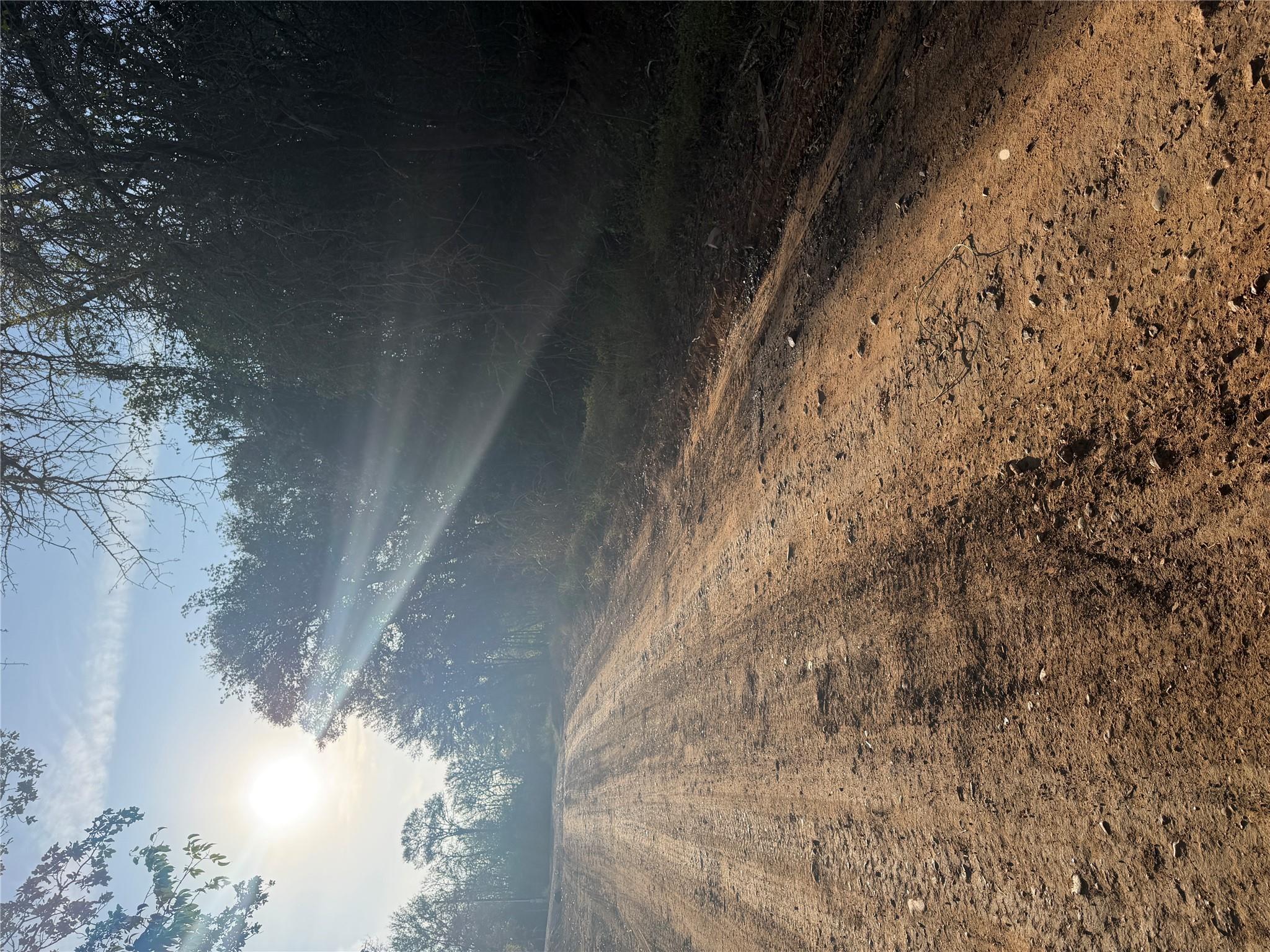 Mature trees frame a quiet dirt road illuminated 