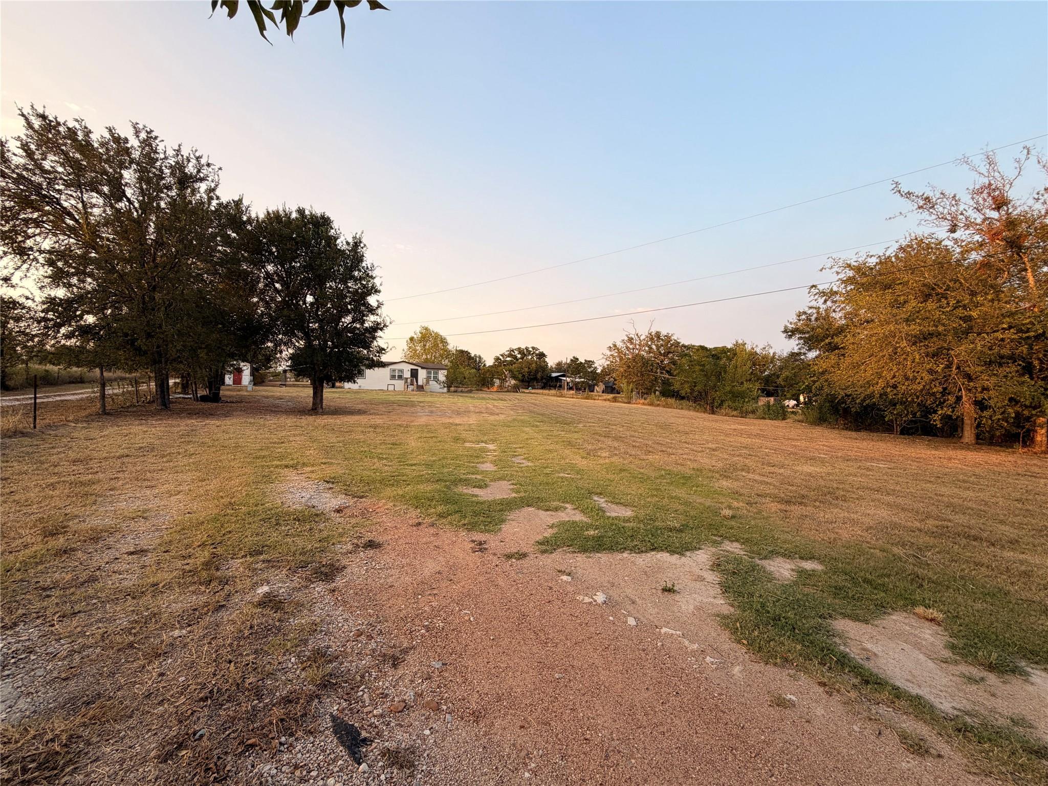 Mature trees frame a wide open grassy lot under a