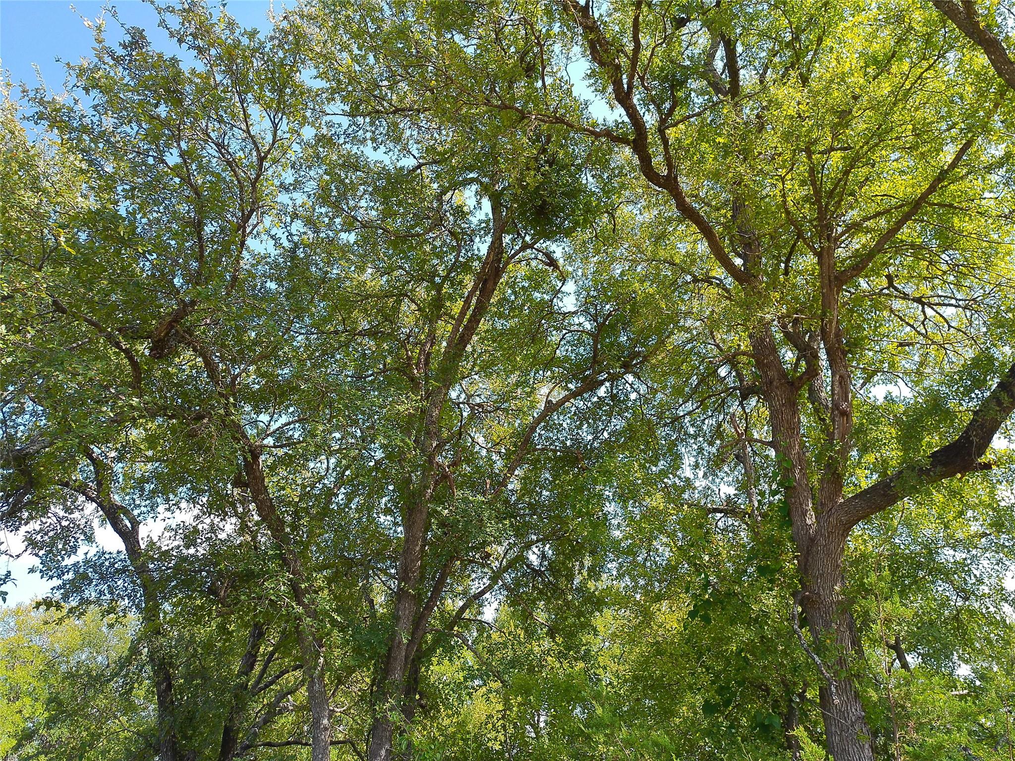 Listing photo 1 of Lot 33  Serenity Dr