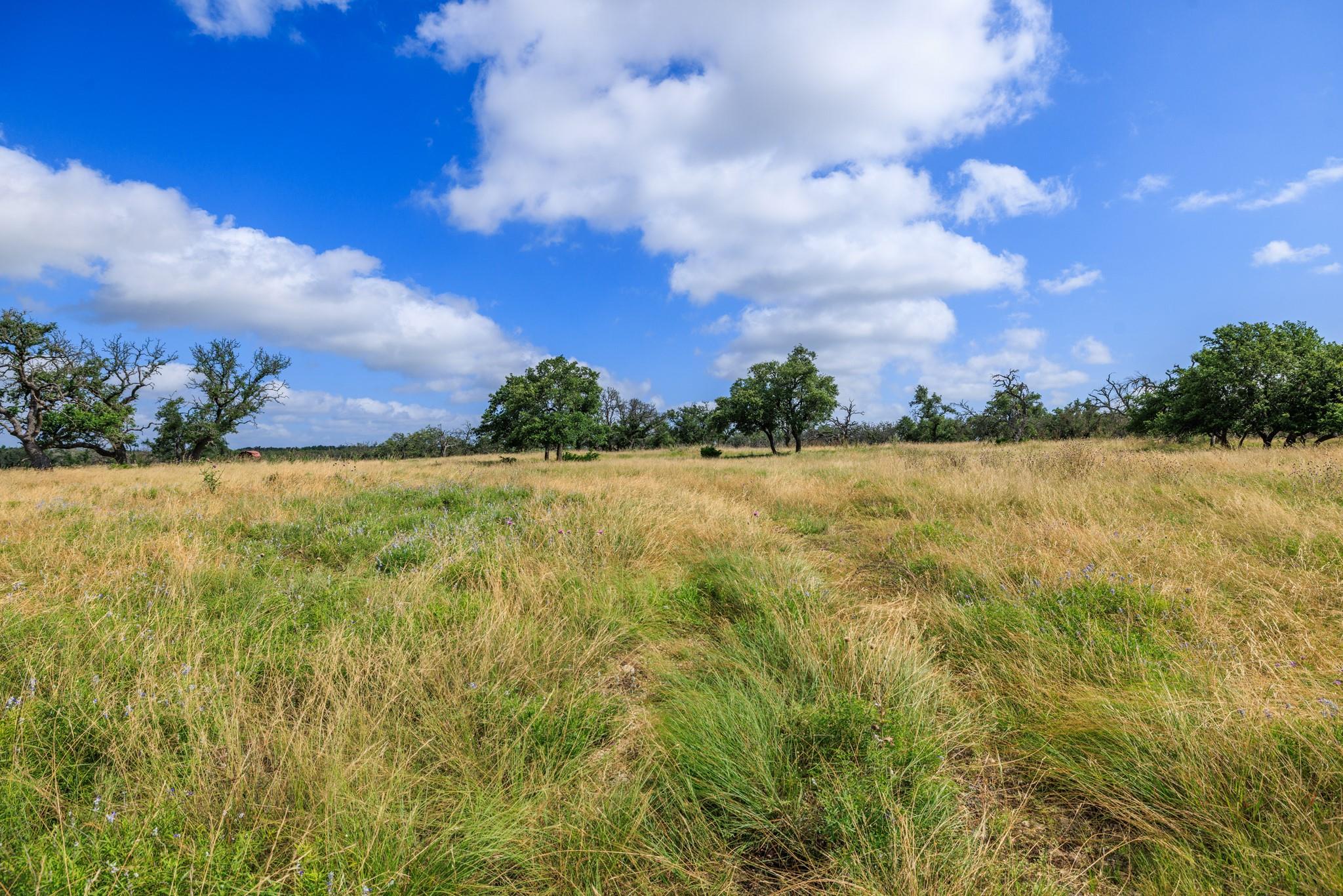 Rolling grassy fields stretch out under a wide sk