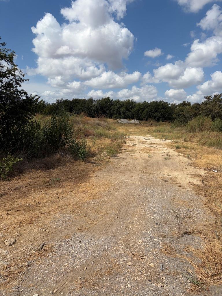 Mature trees frame a wide open parcel of land und