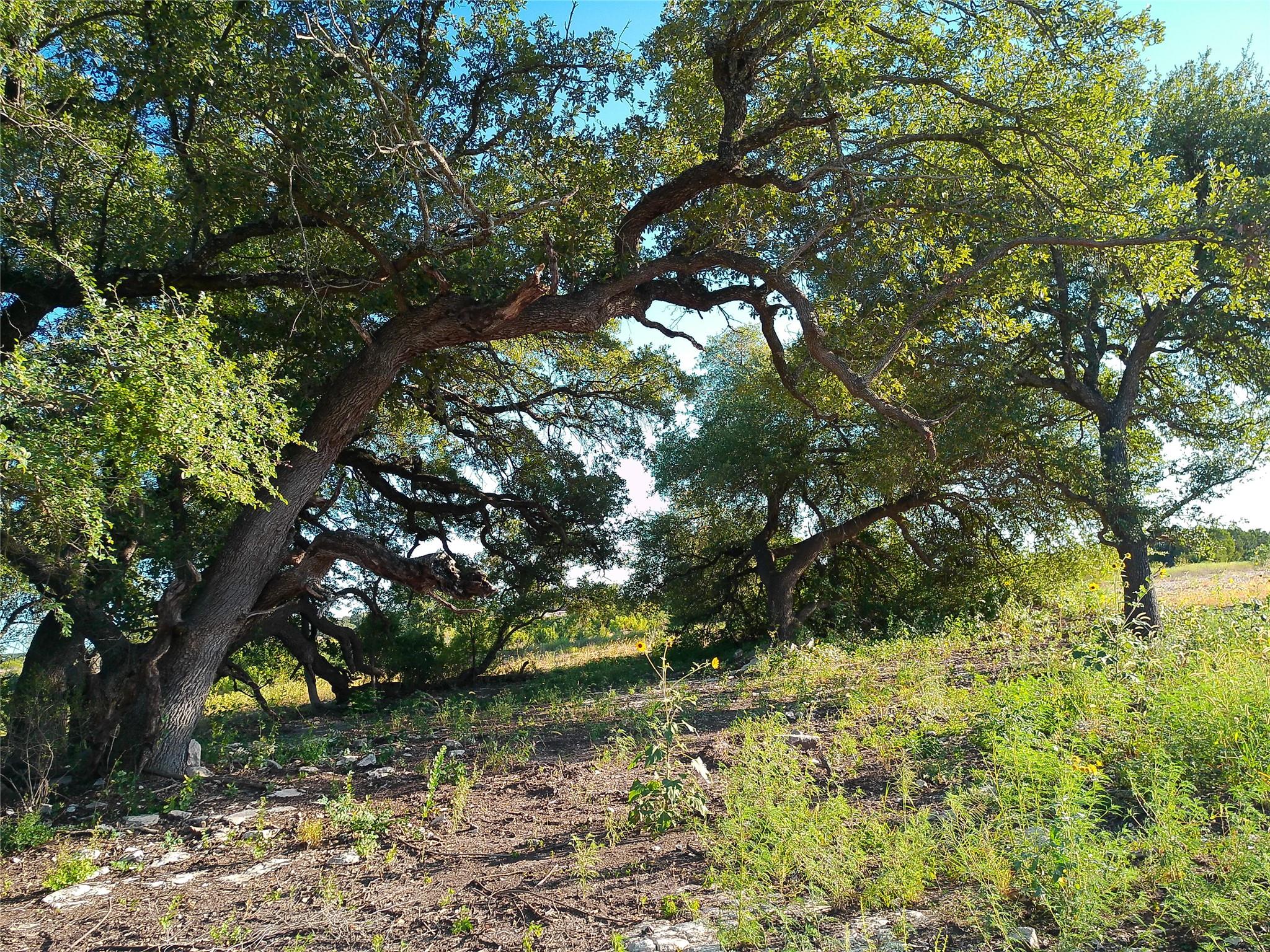 Listing photo 1 of Lot 42  Serenity Dr