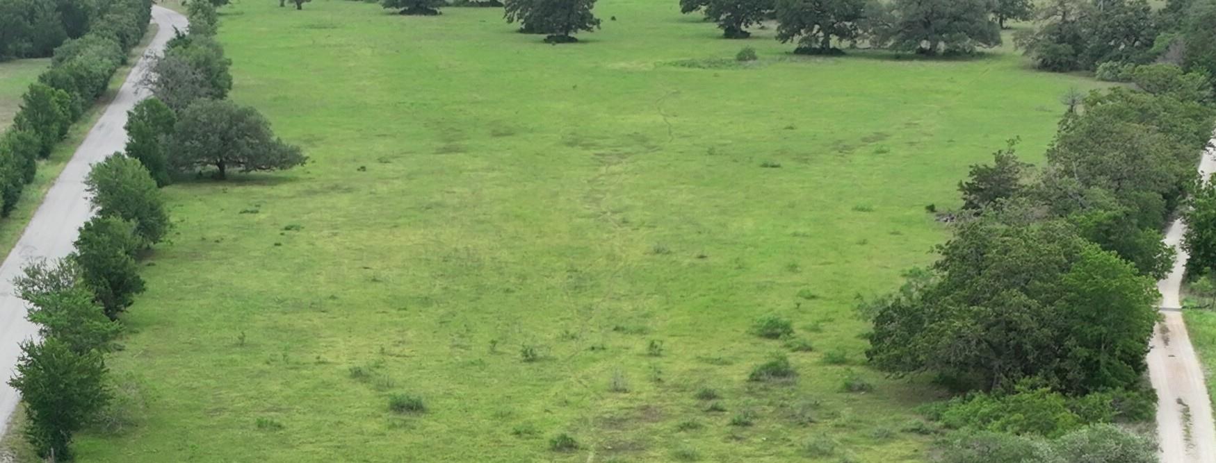 Mature trees frame a wide pasture flanked by priv