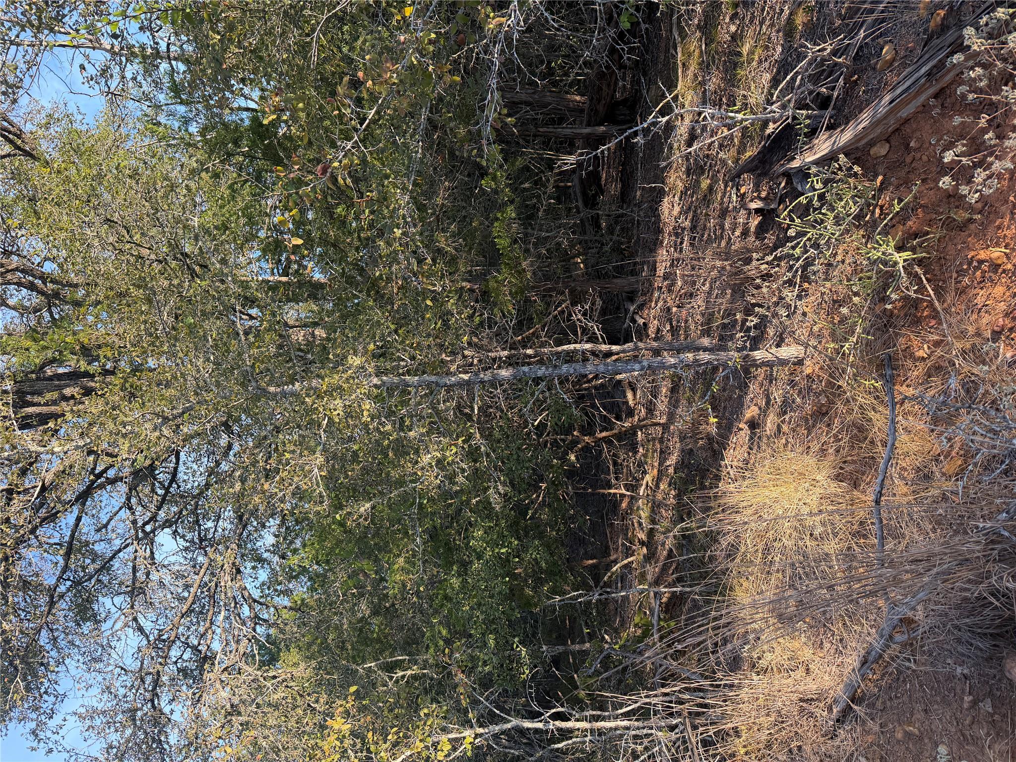 Mature trees and native vegetation create a priva