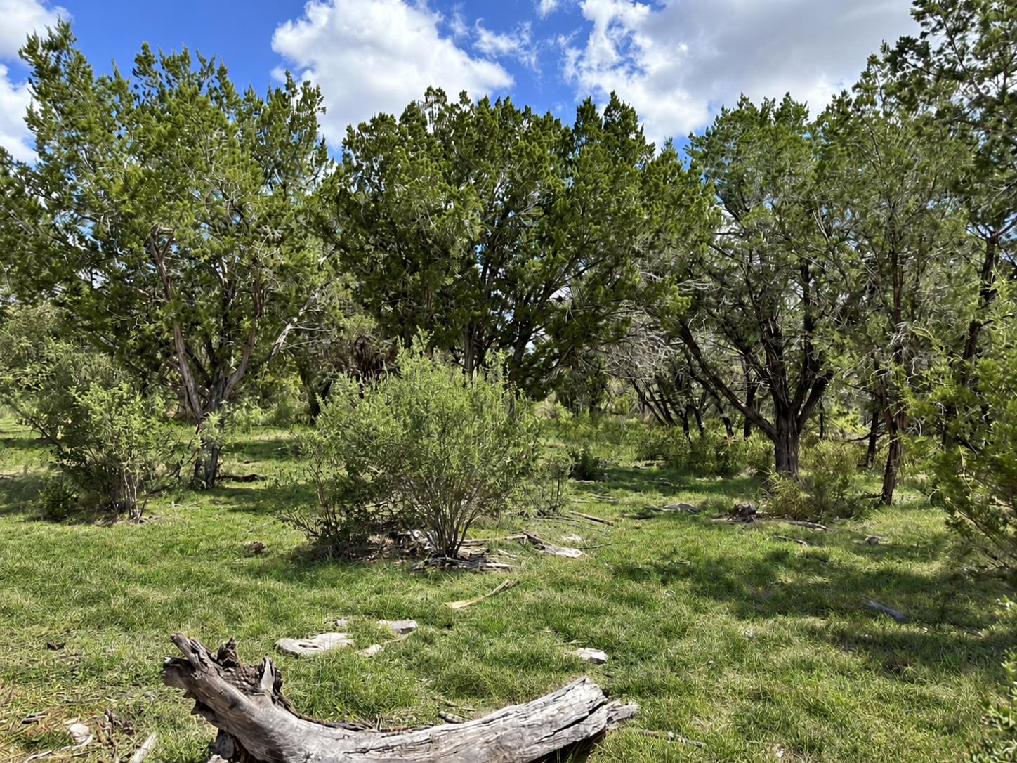 Listing photo 1 of Lot 53  Park View Dr