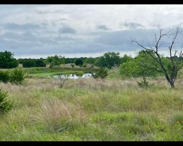 A tranquil natural pond rests amidst native grass