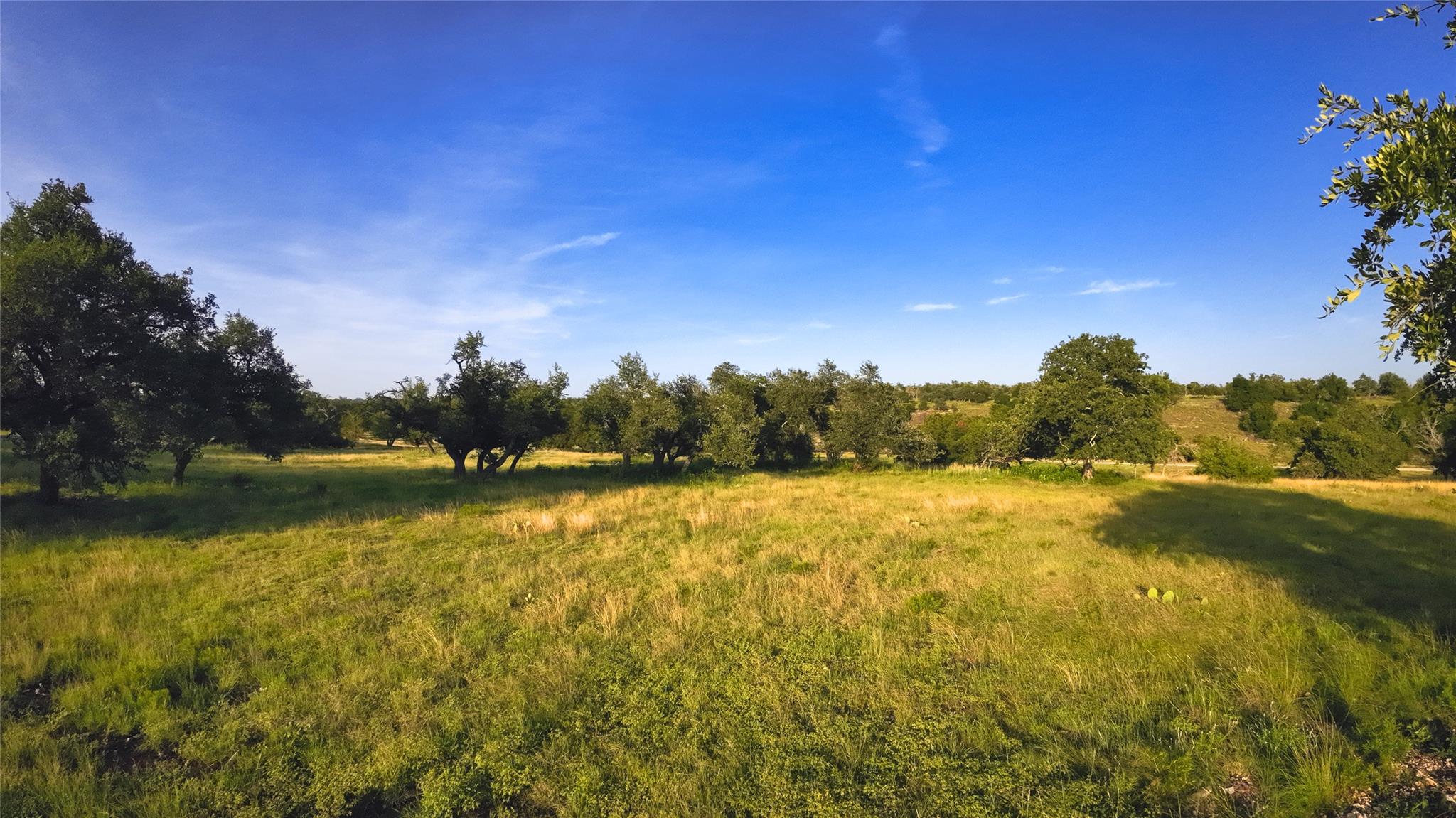 Vast green pastures and mature trees create a ser