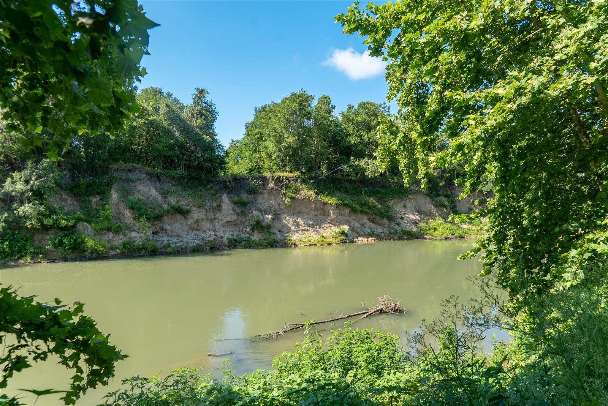 Mature trees frame a peaceful view of the winding