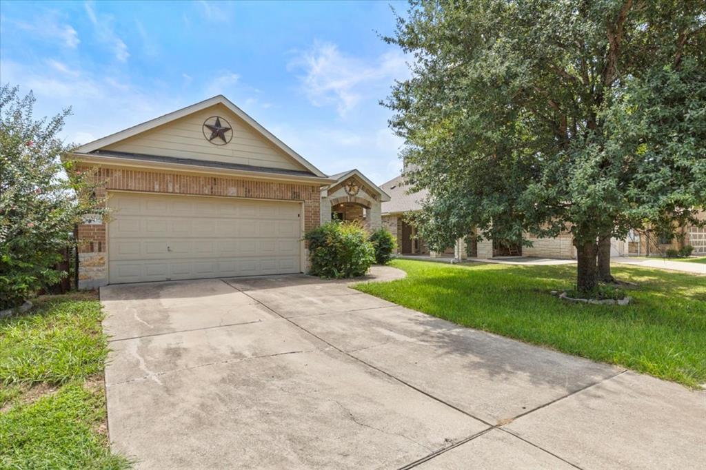 Mature trees shade the concrete driveway leading 
