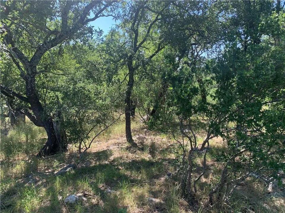Mature trees and native vegetation cover this nat