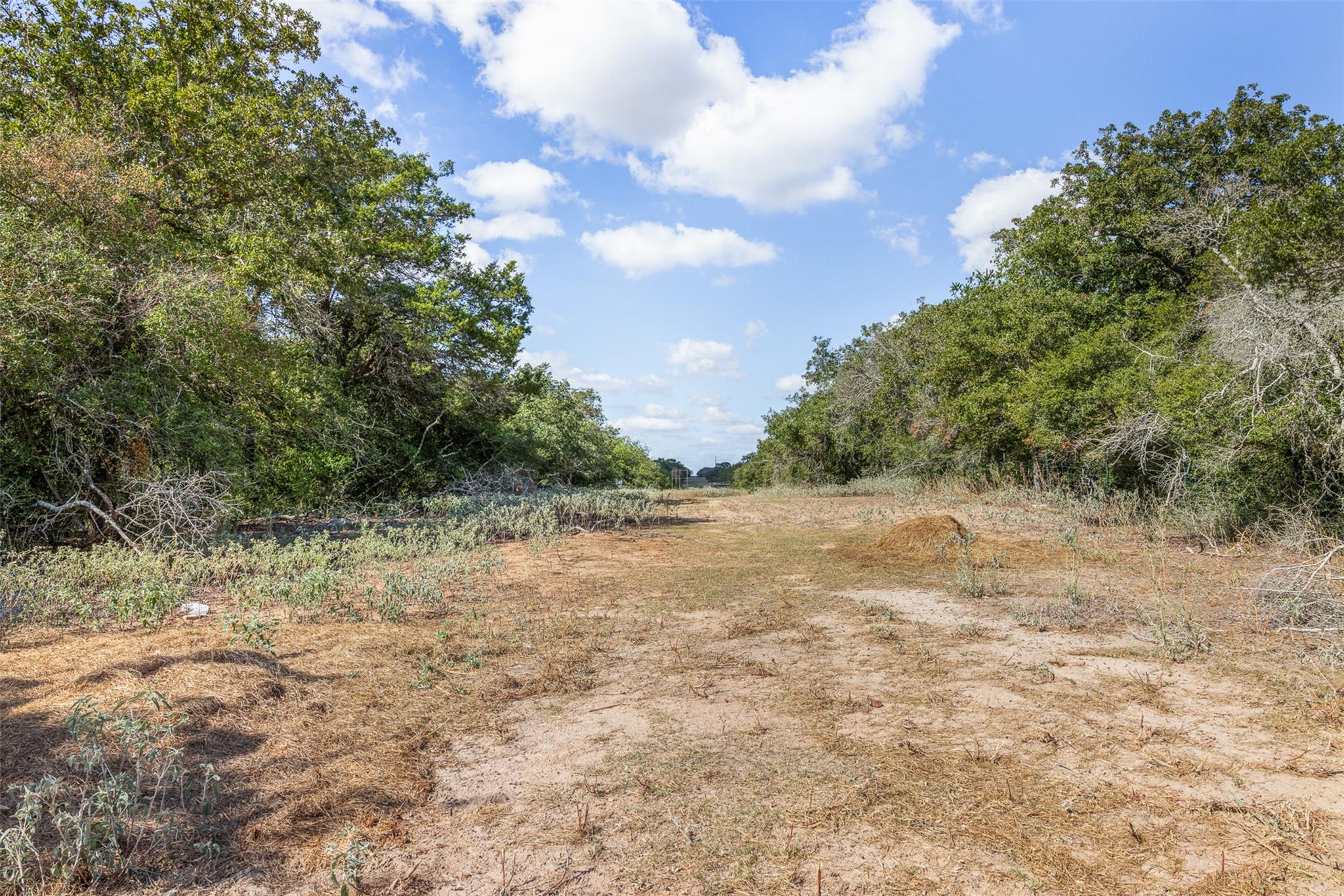 Mature trees frame a wide, cleared path ideal for