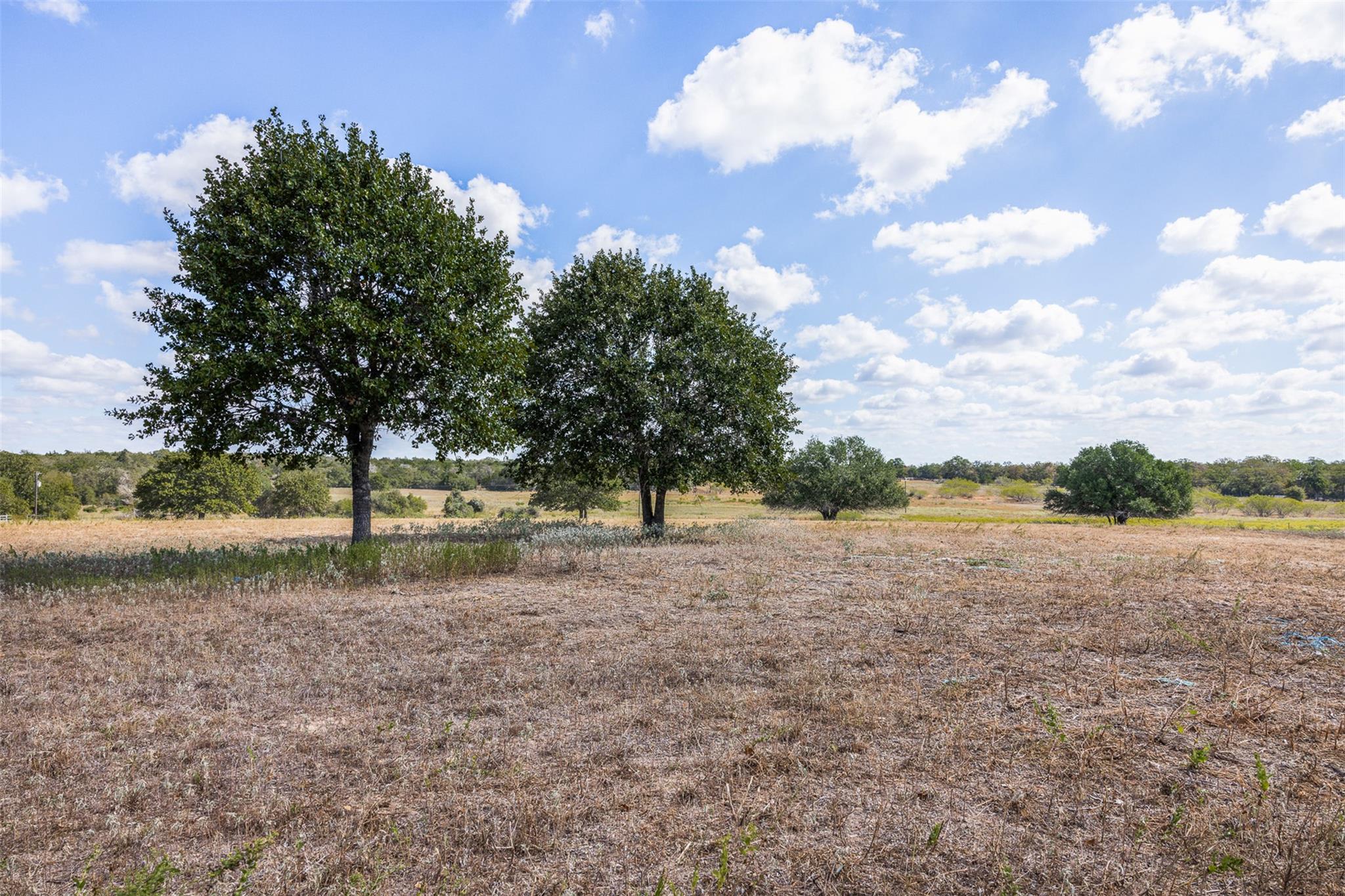 Mature trees dot this sprawling acreage under a w