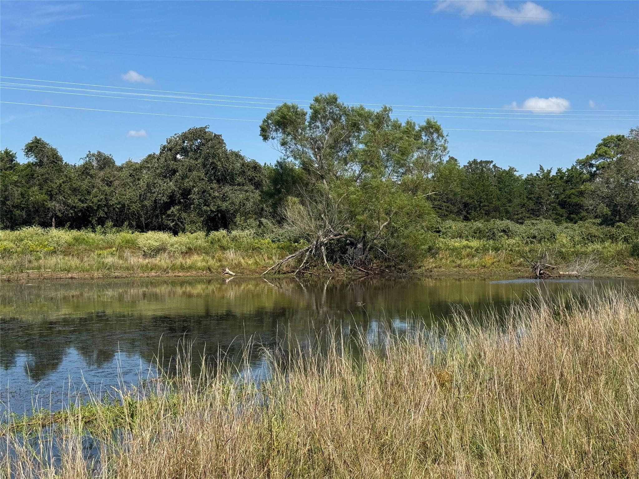 Mature trees line the quiet water of a private po