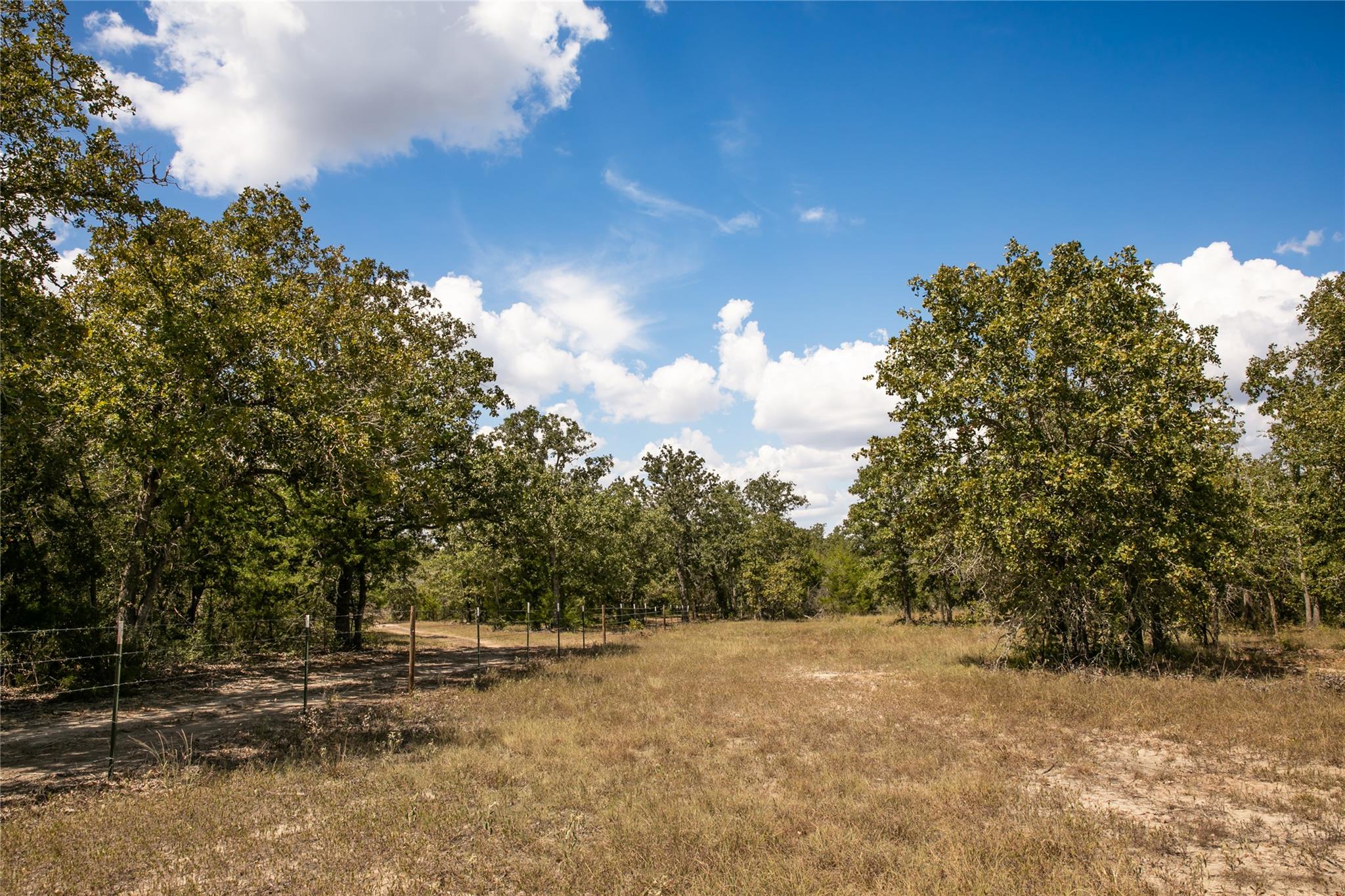 Listing photo 1 of none  FM 180 None